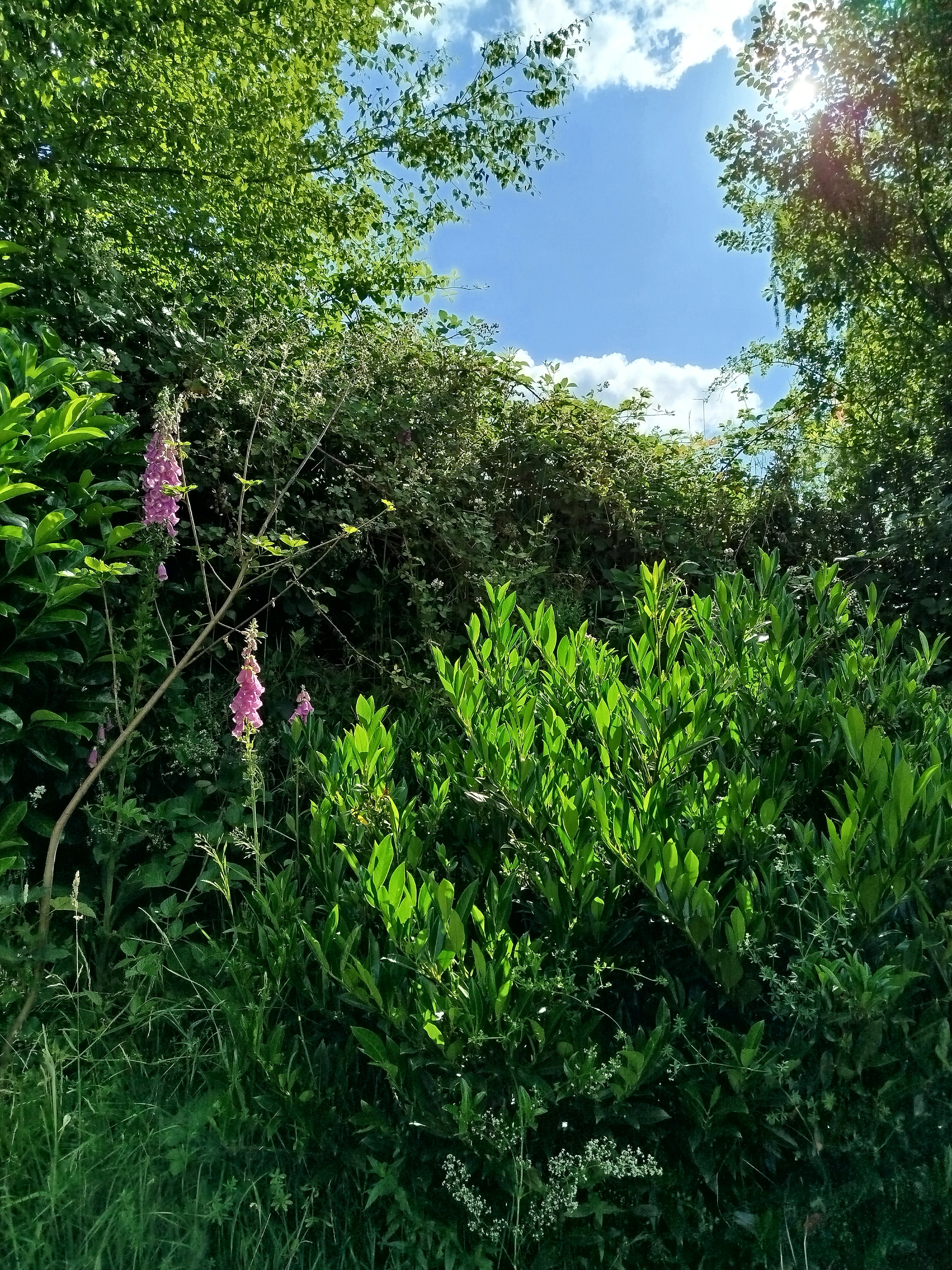 Natuurhuisje in Baiersbronn