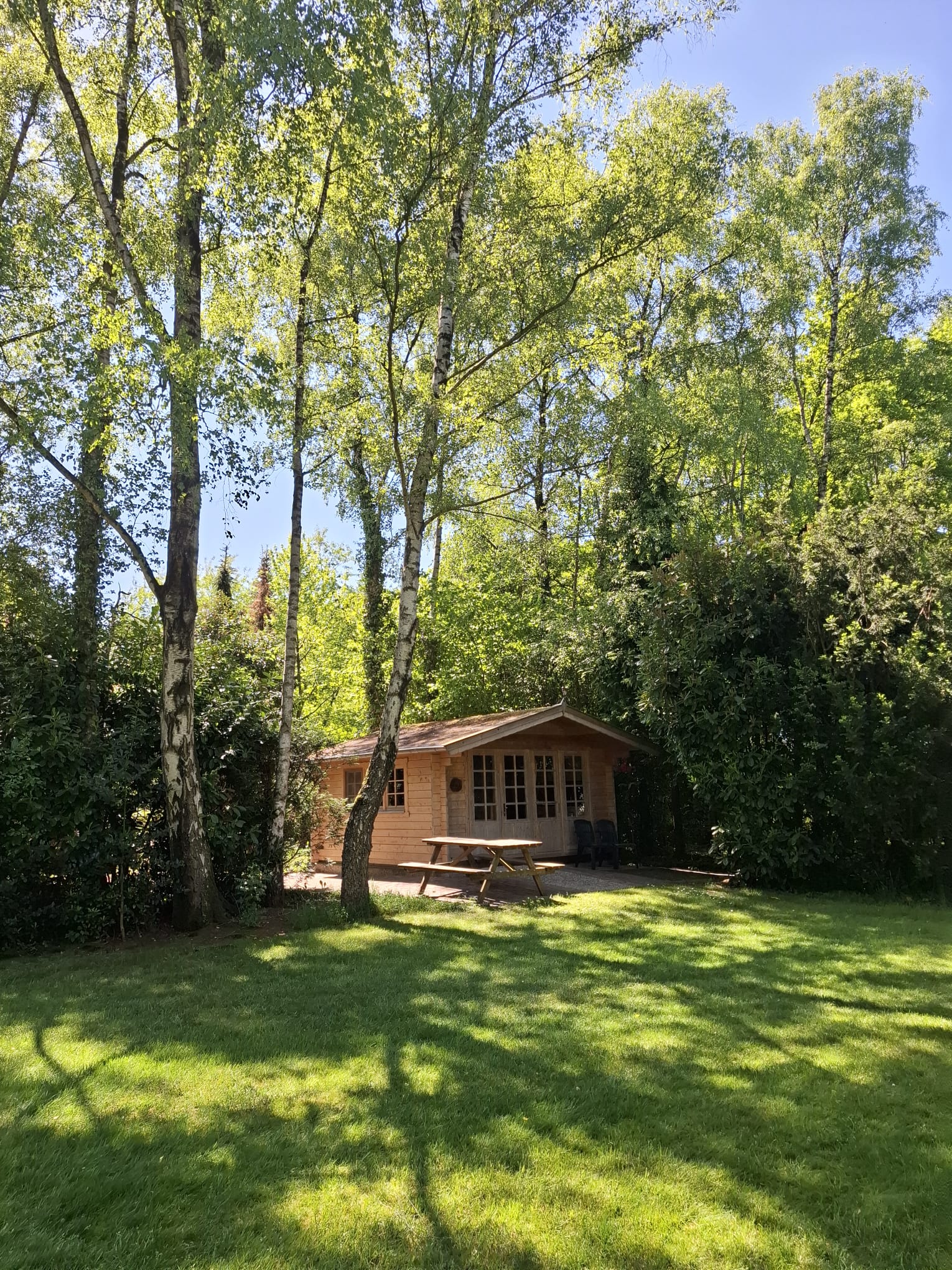 Natuurhuisje in Wesepe (Middel)