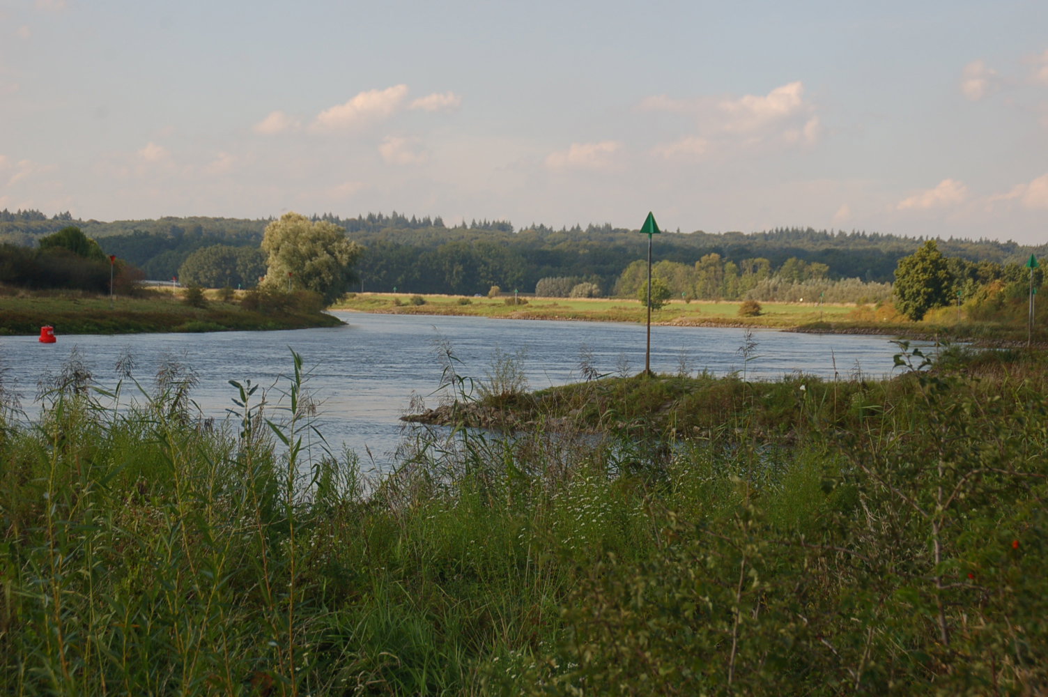 - image: 13