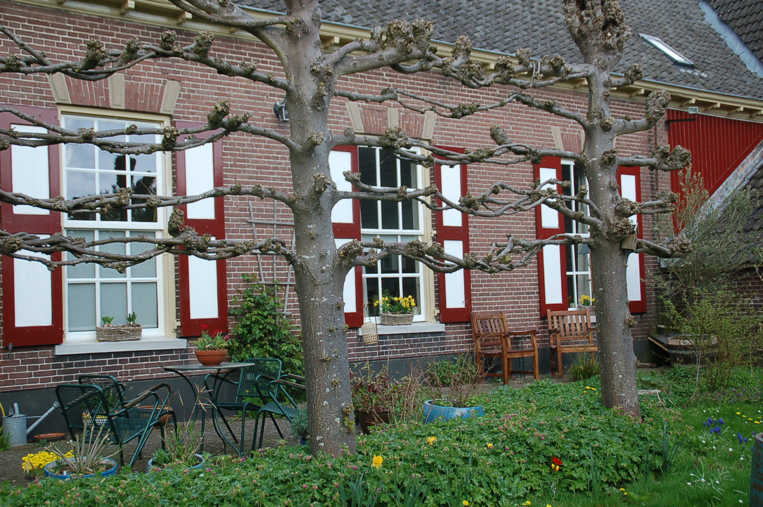 - image: 21