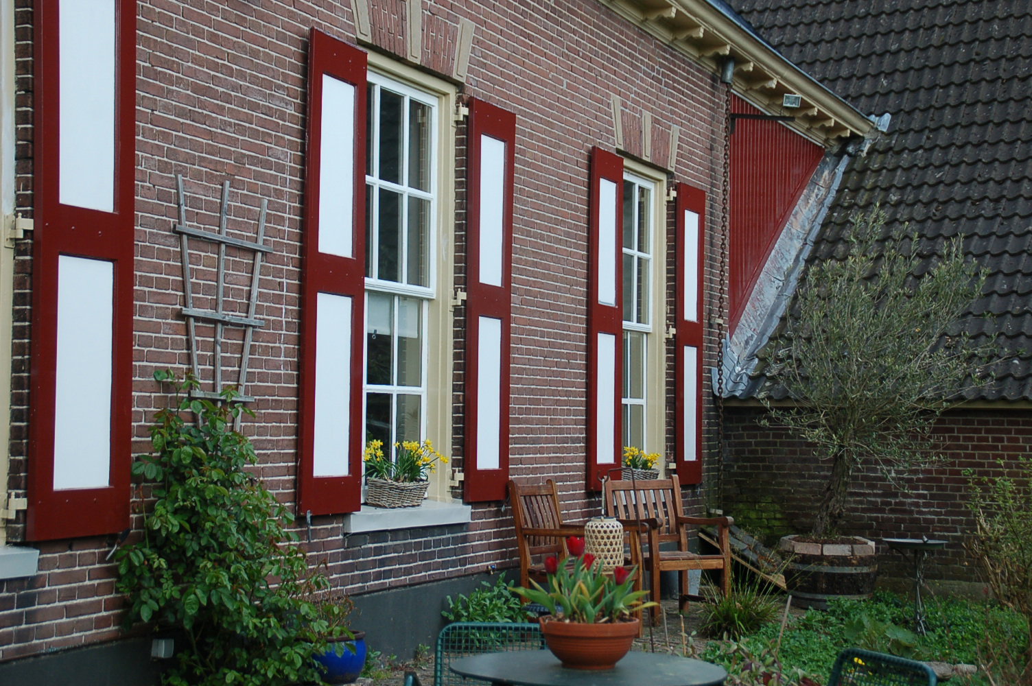 - image: 19