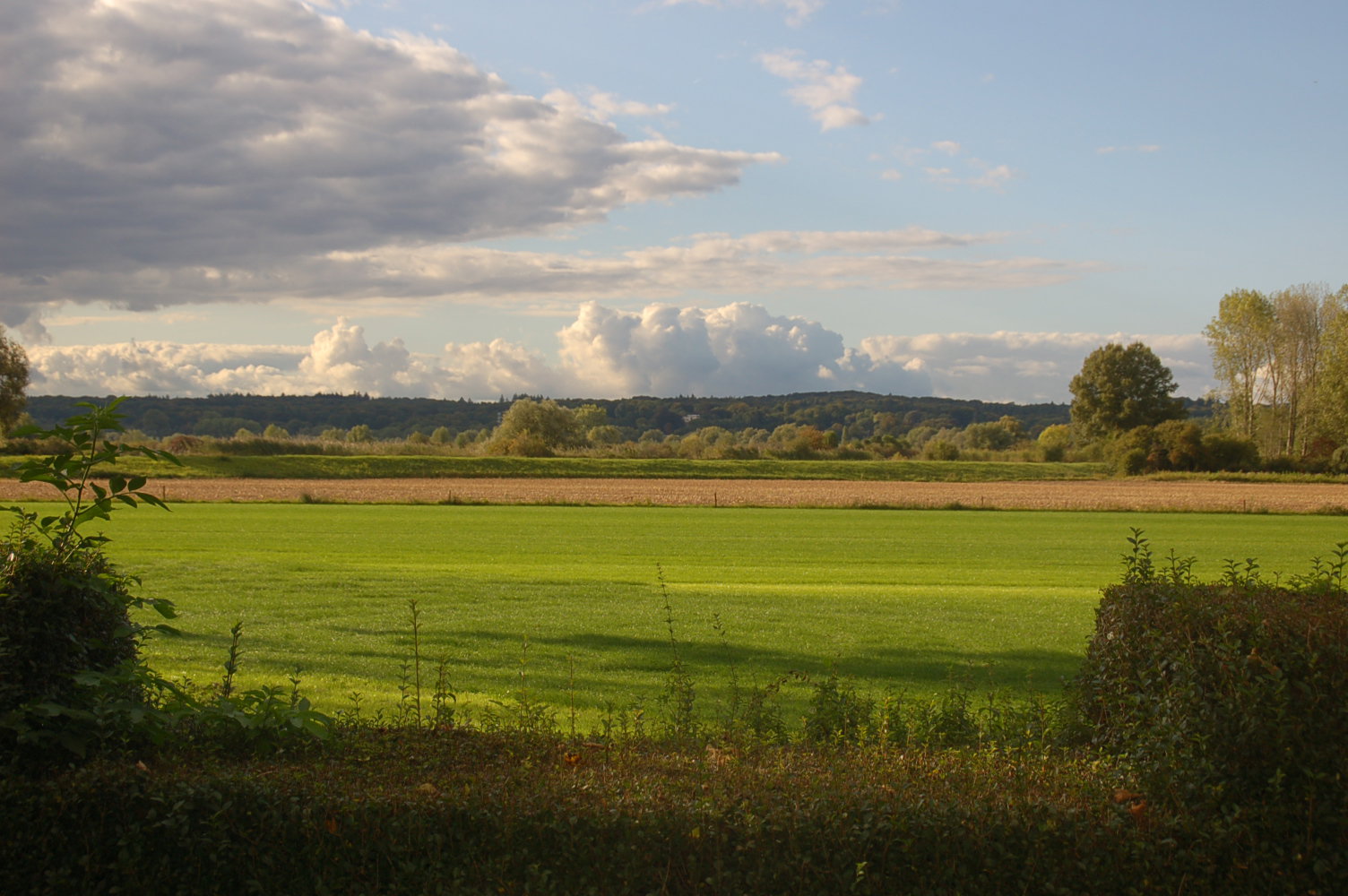 - image: 29