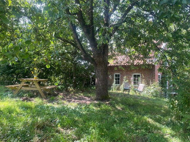 - image: 20