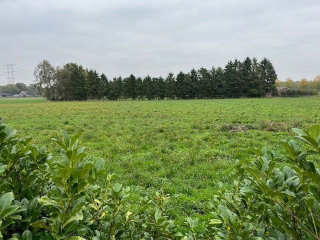 - image: 13