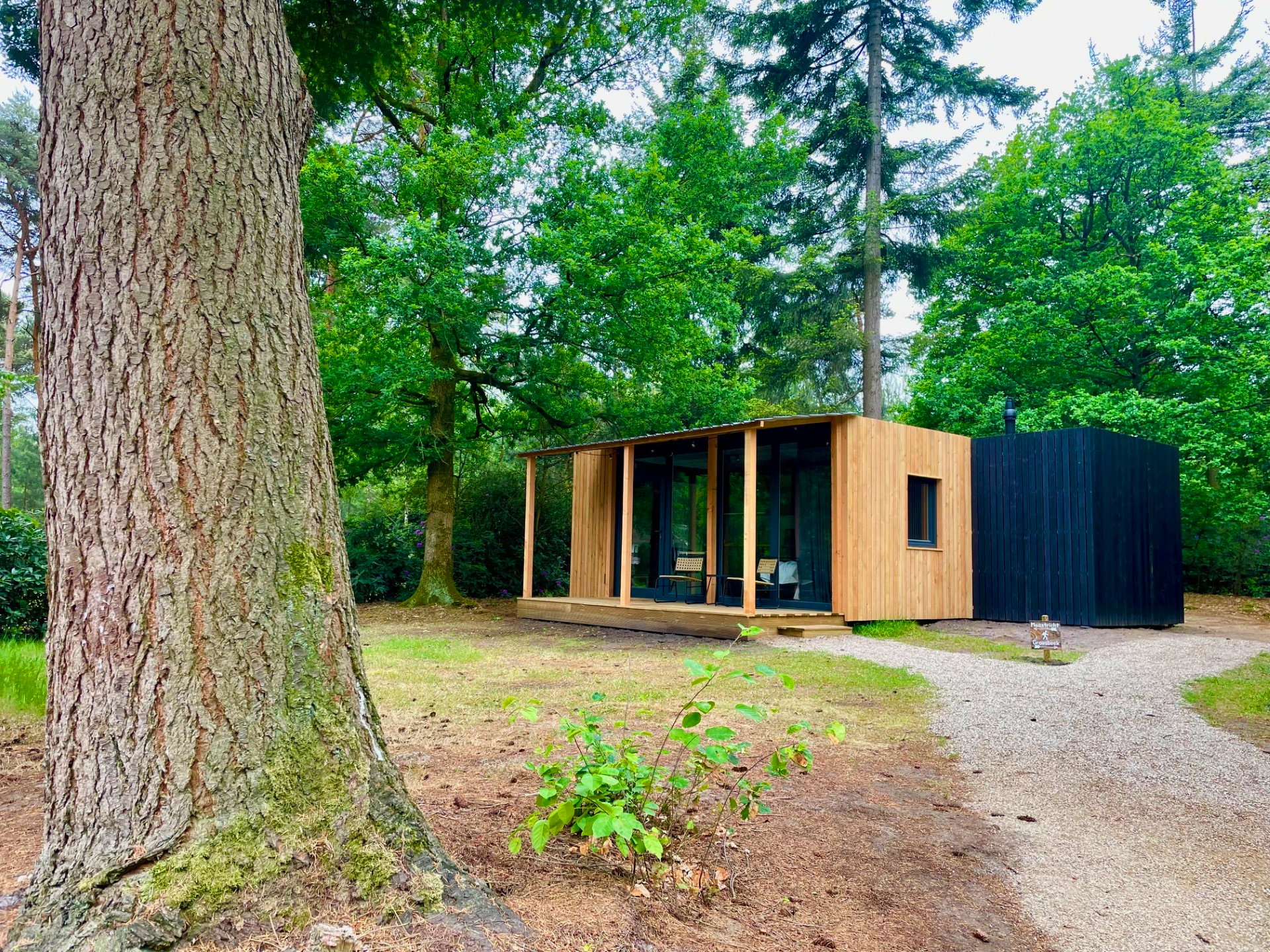 Natuurhuisje in Holten