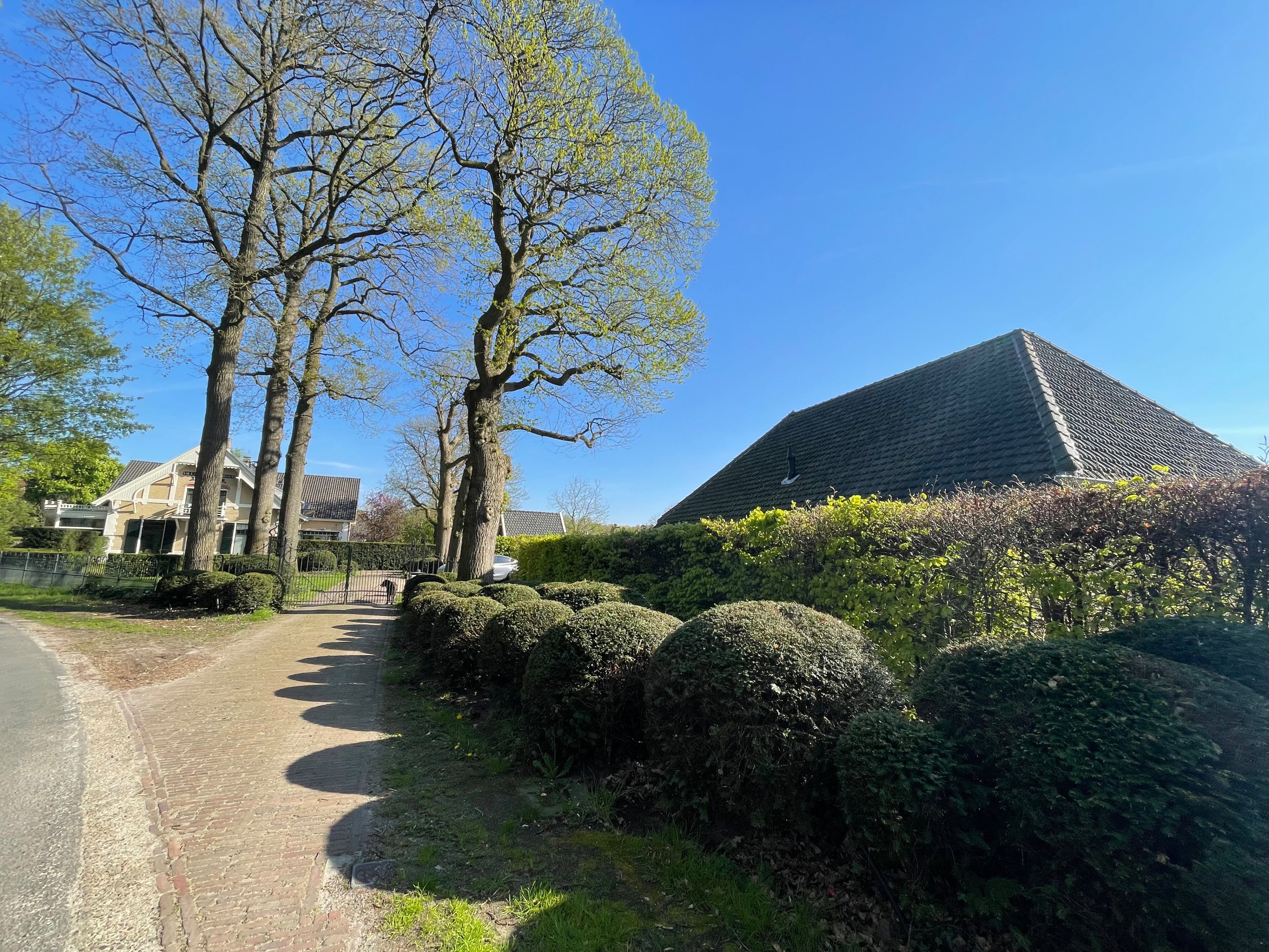 Nature house in Breda