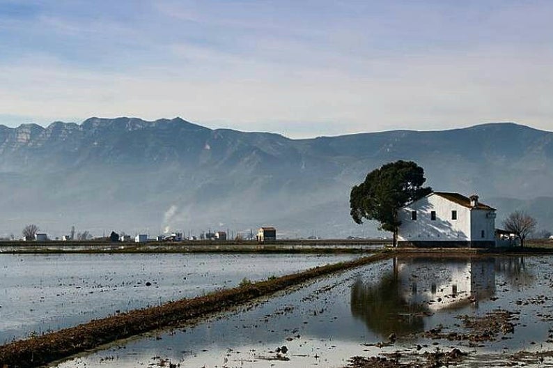 - image: 16