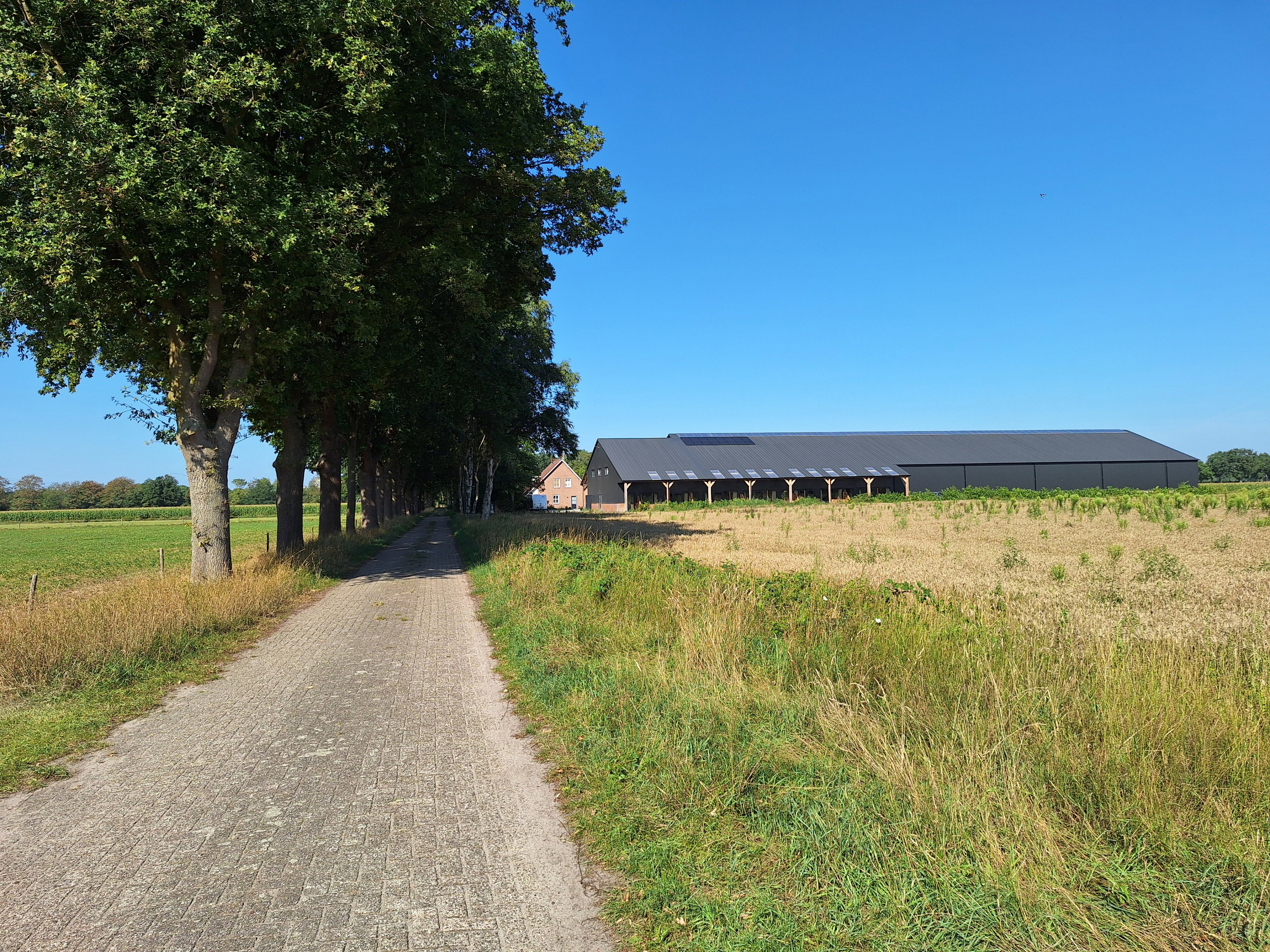 Natuurhuisje in De Moer