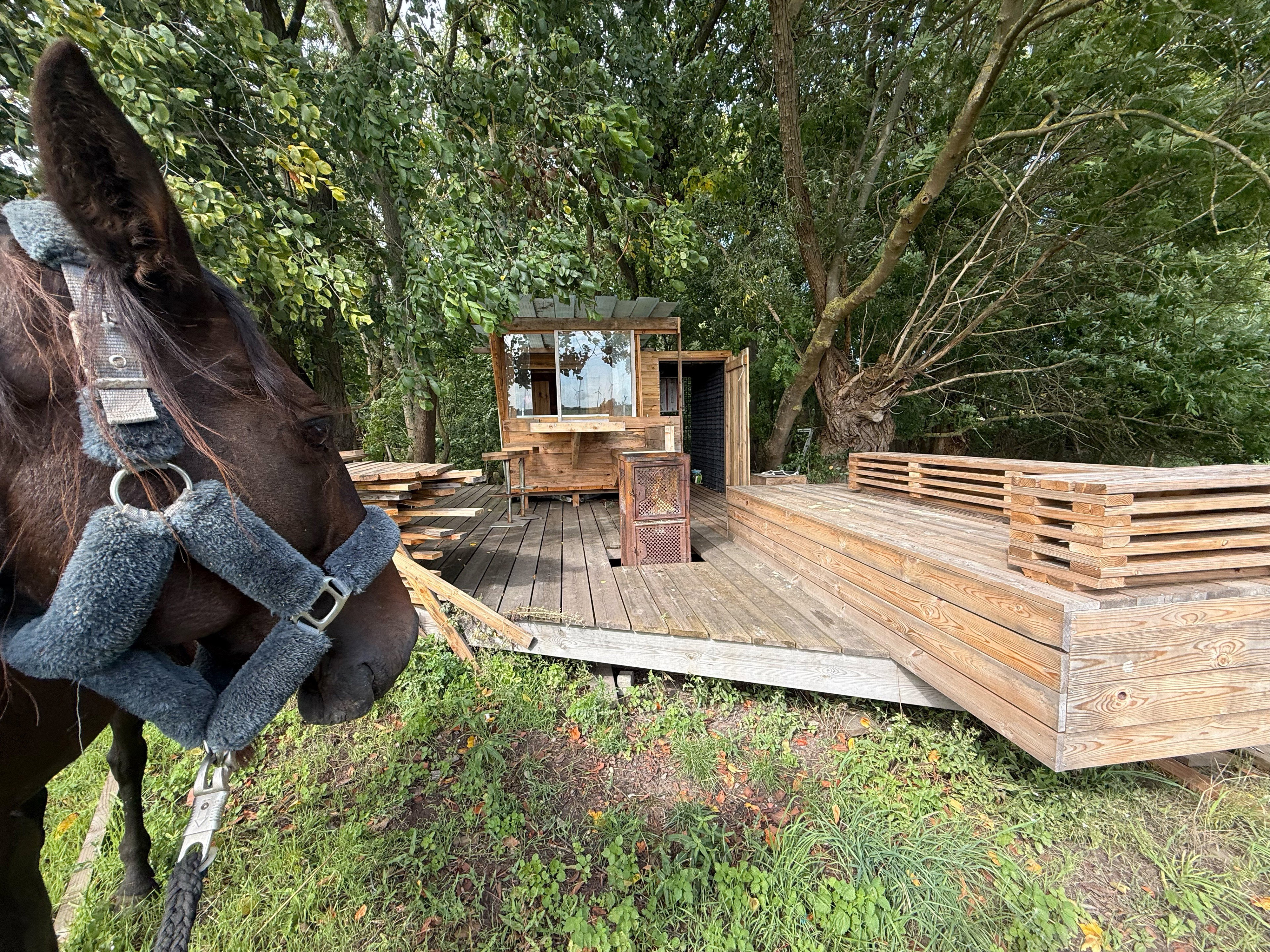 Natuurhuisje in Uckerfelde