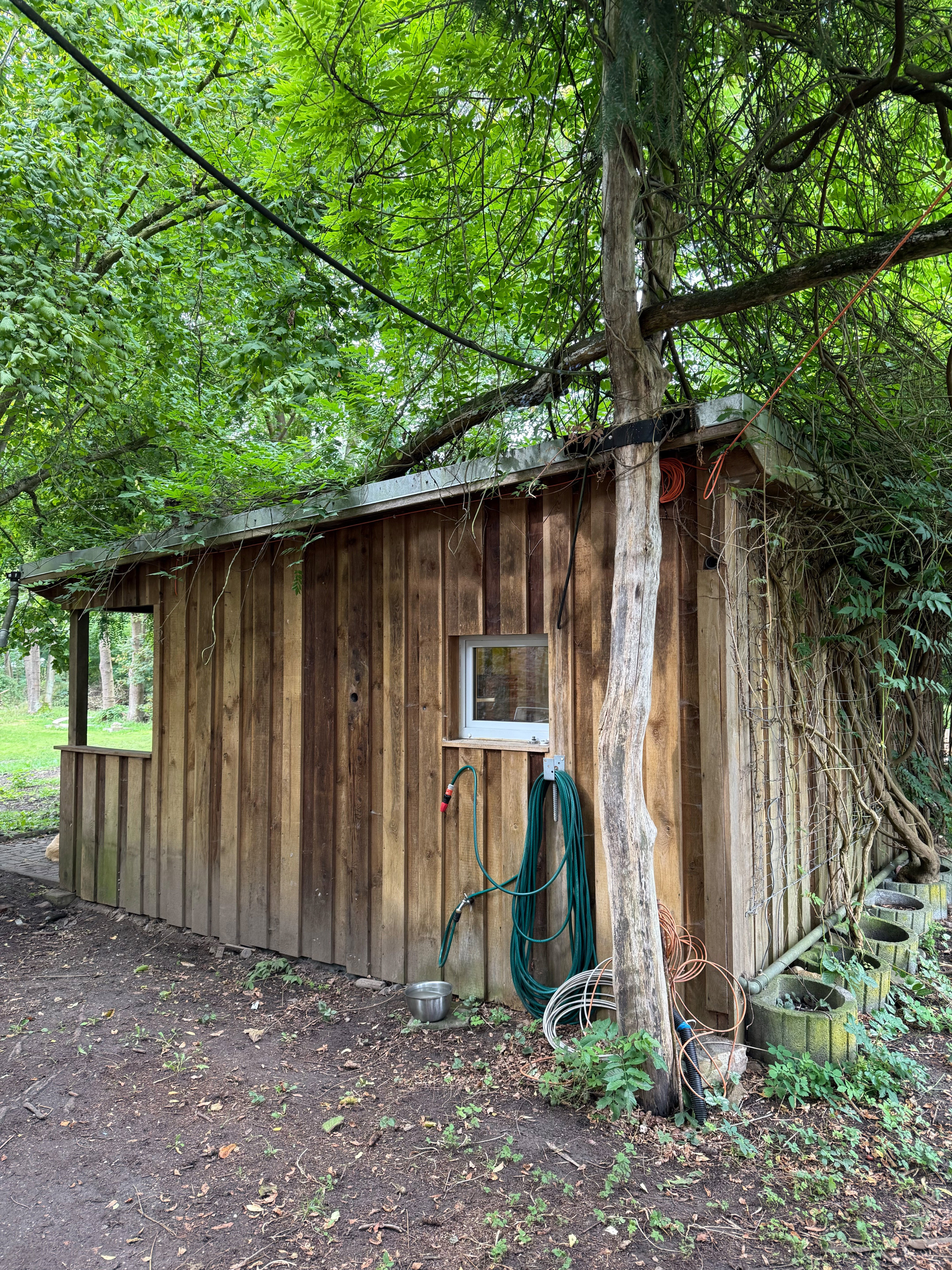 Natuurhuisje in Uckerfelde