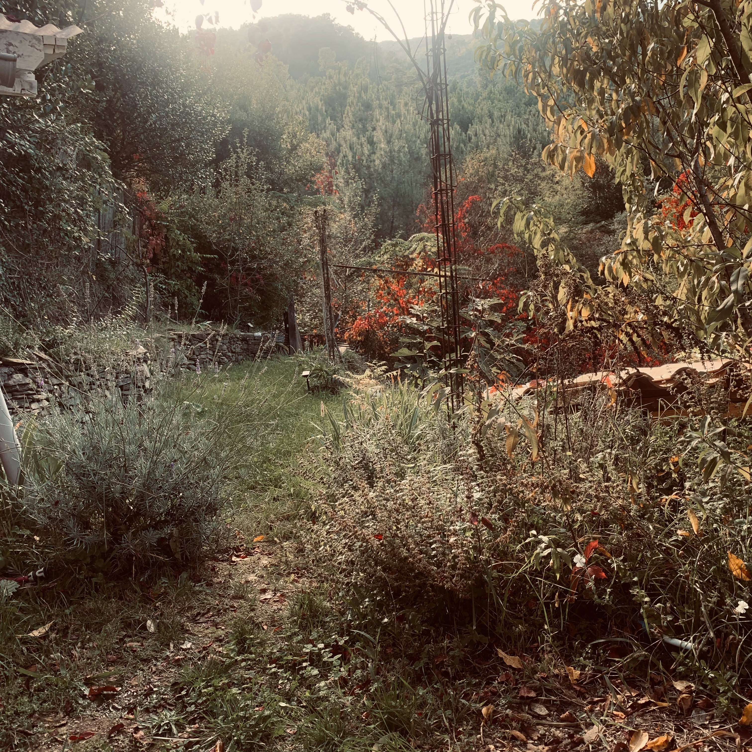 Natuurhuisje in le martinet