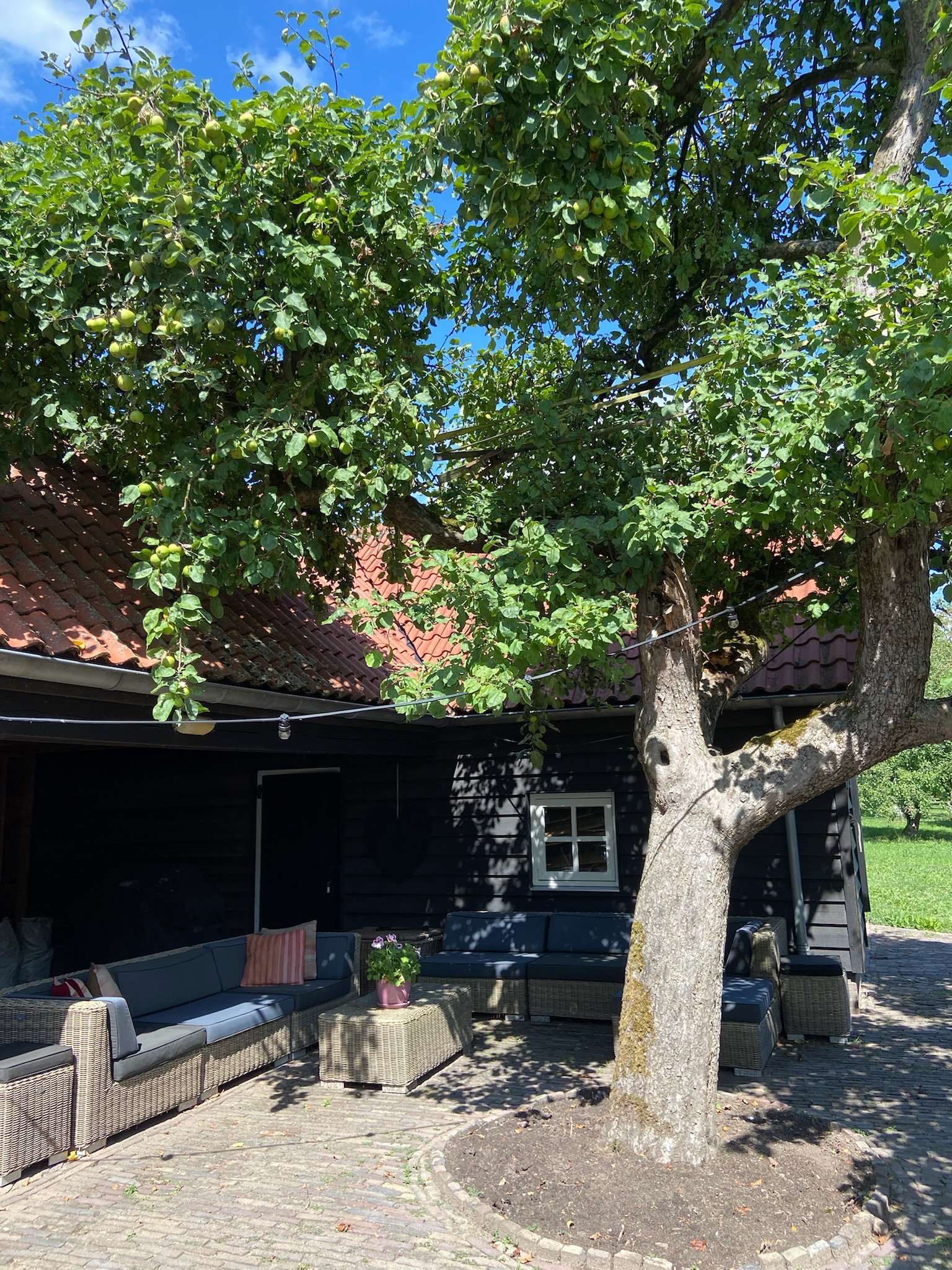 Casa nella natura a Neerijnen