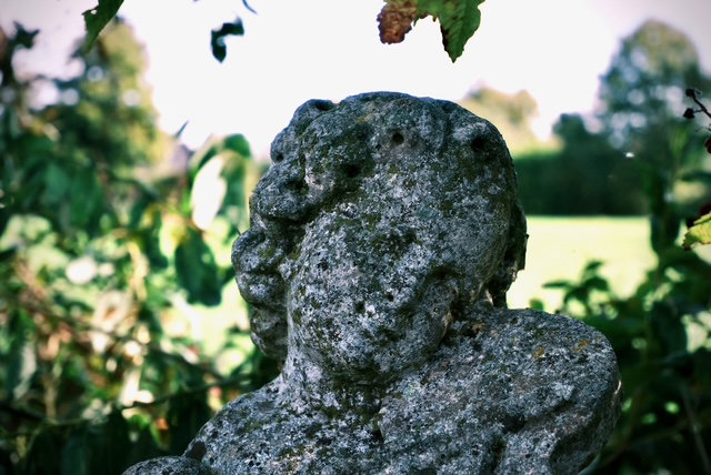 - image: 28