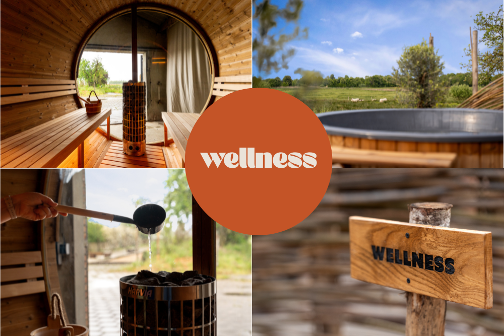 - image: 19