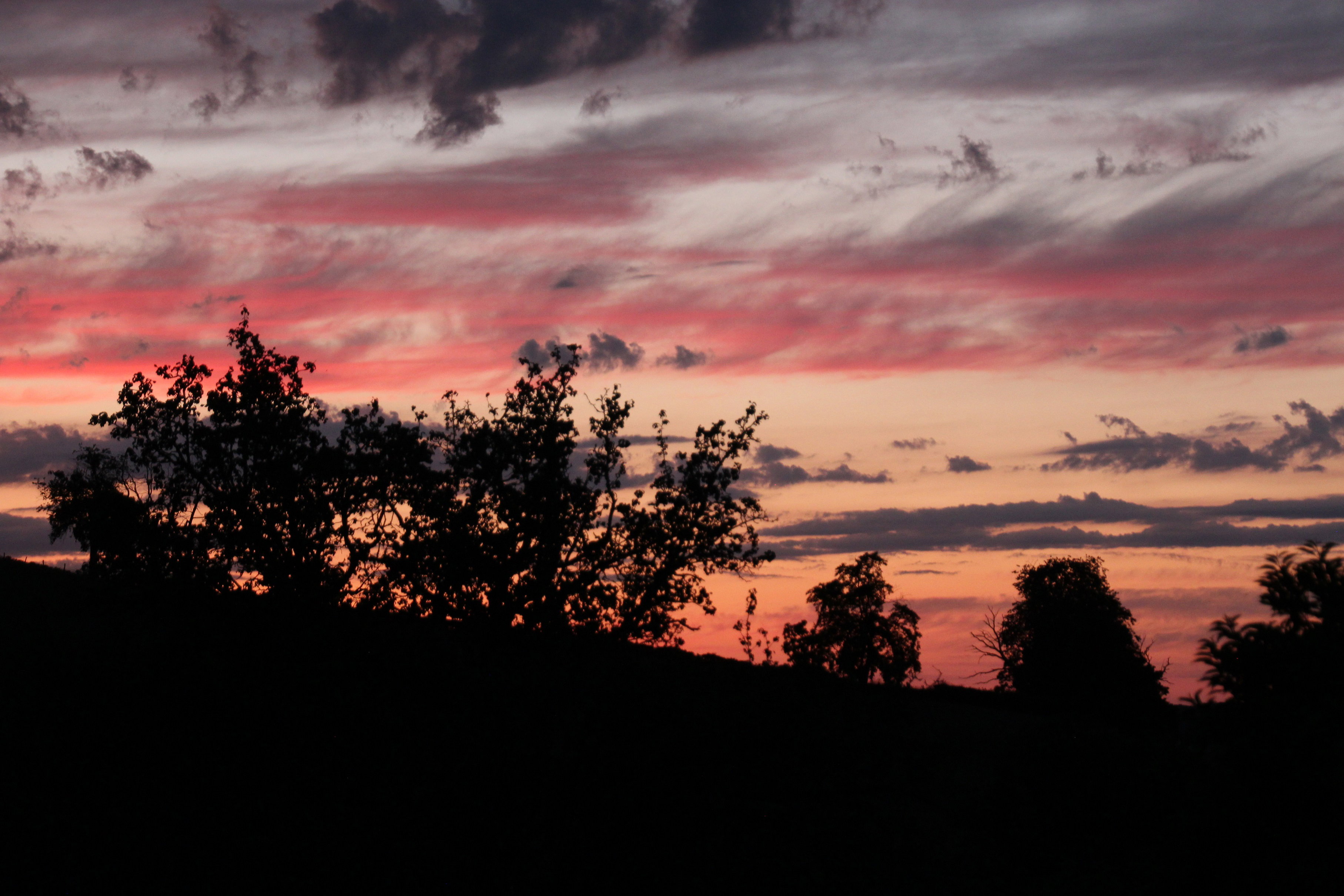 - image: 23