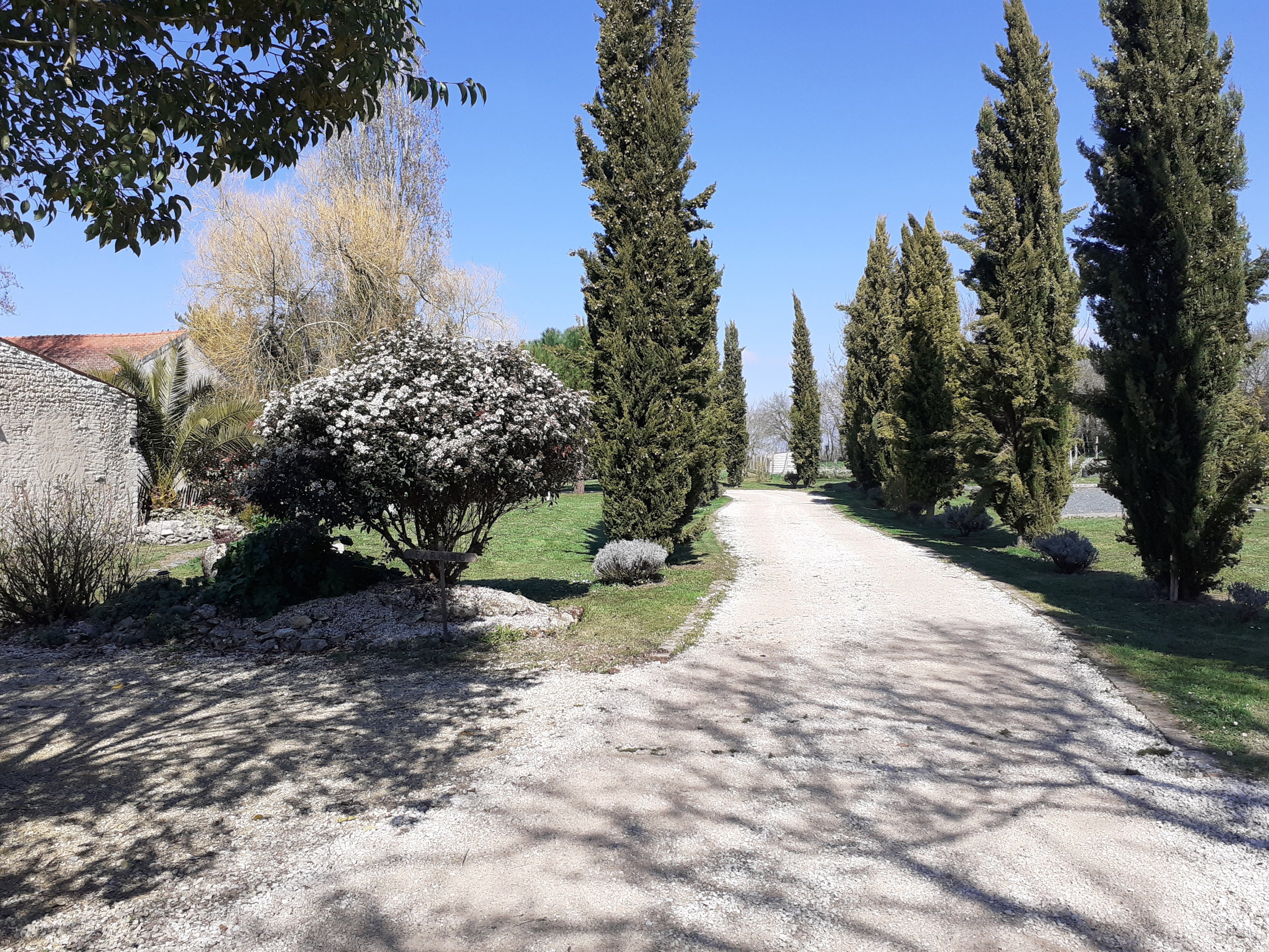 - image: 26