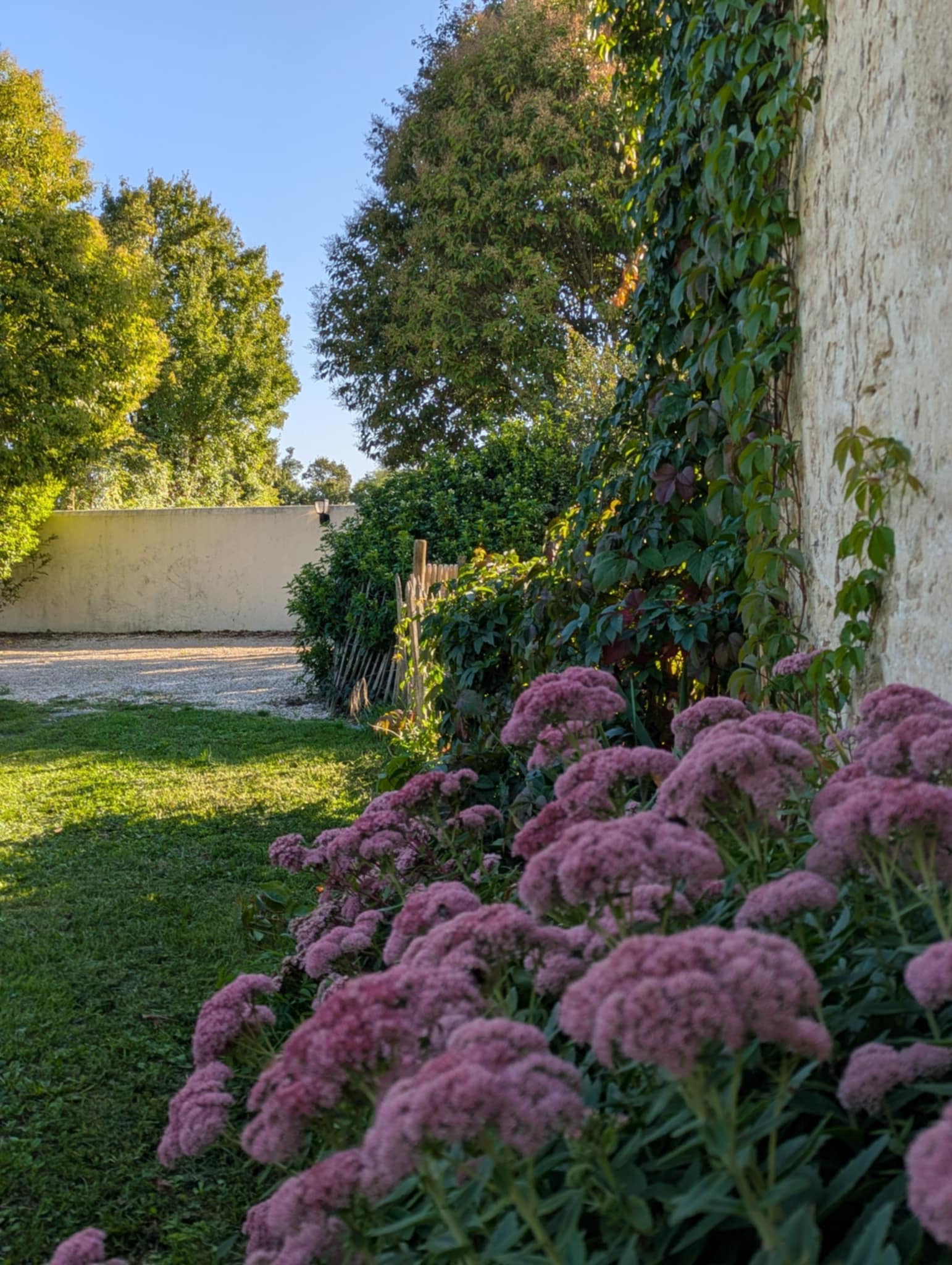 - image: 23