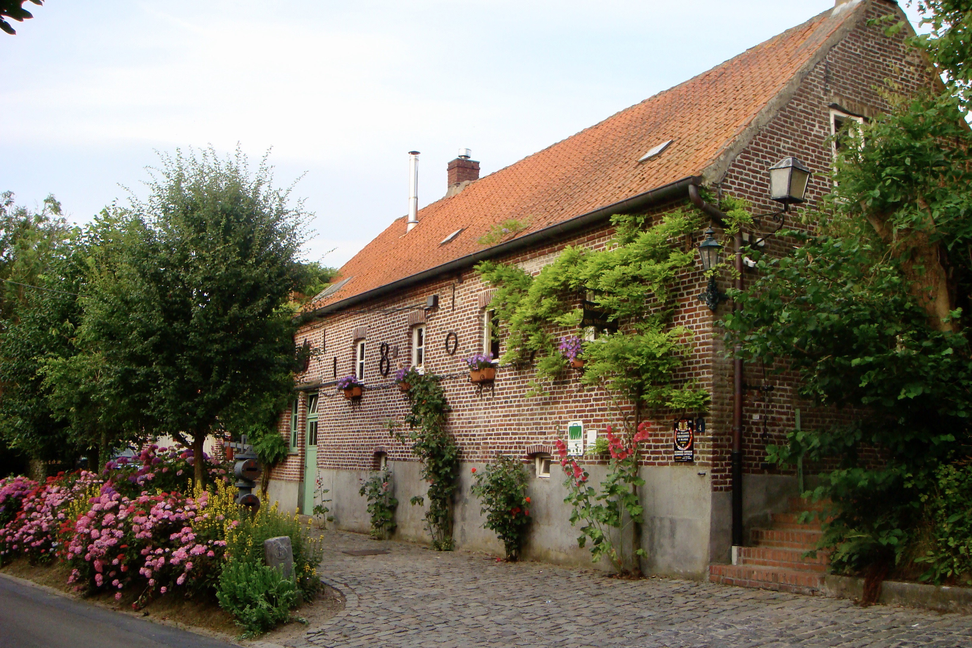 - image: 25