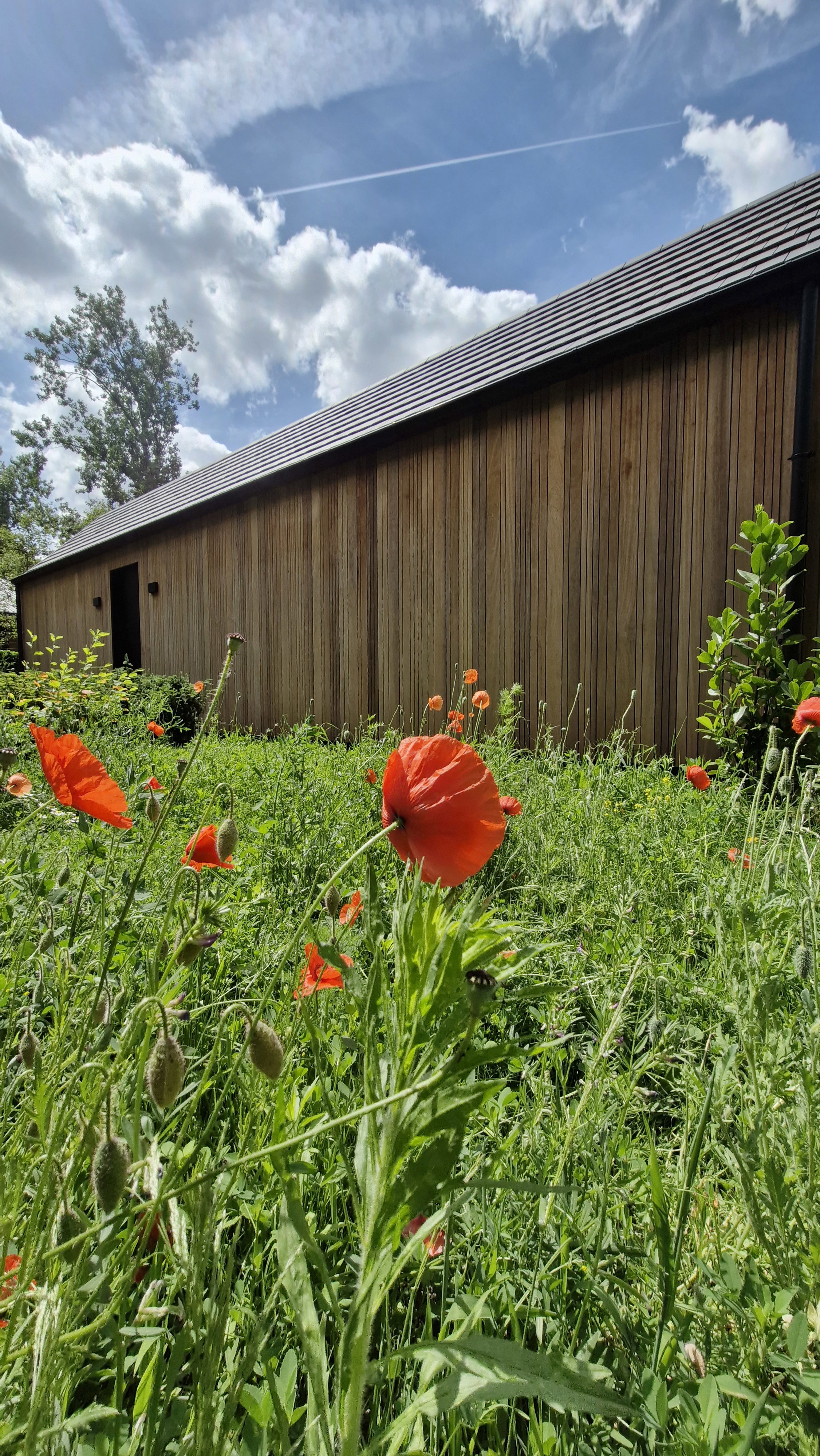 Casa nella natura a Stekene