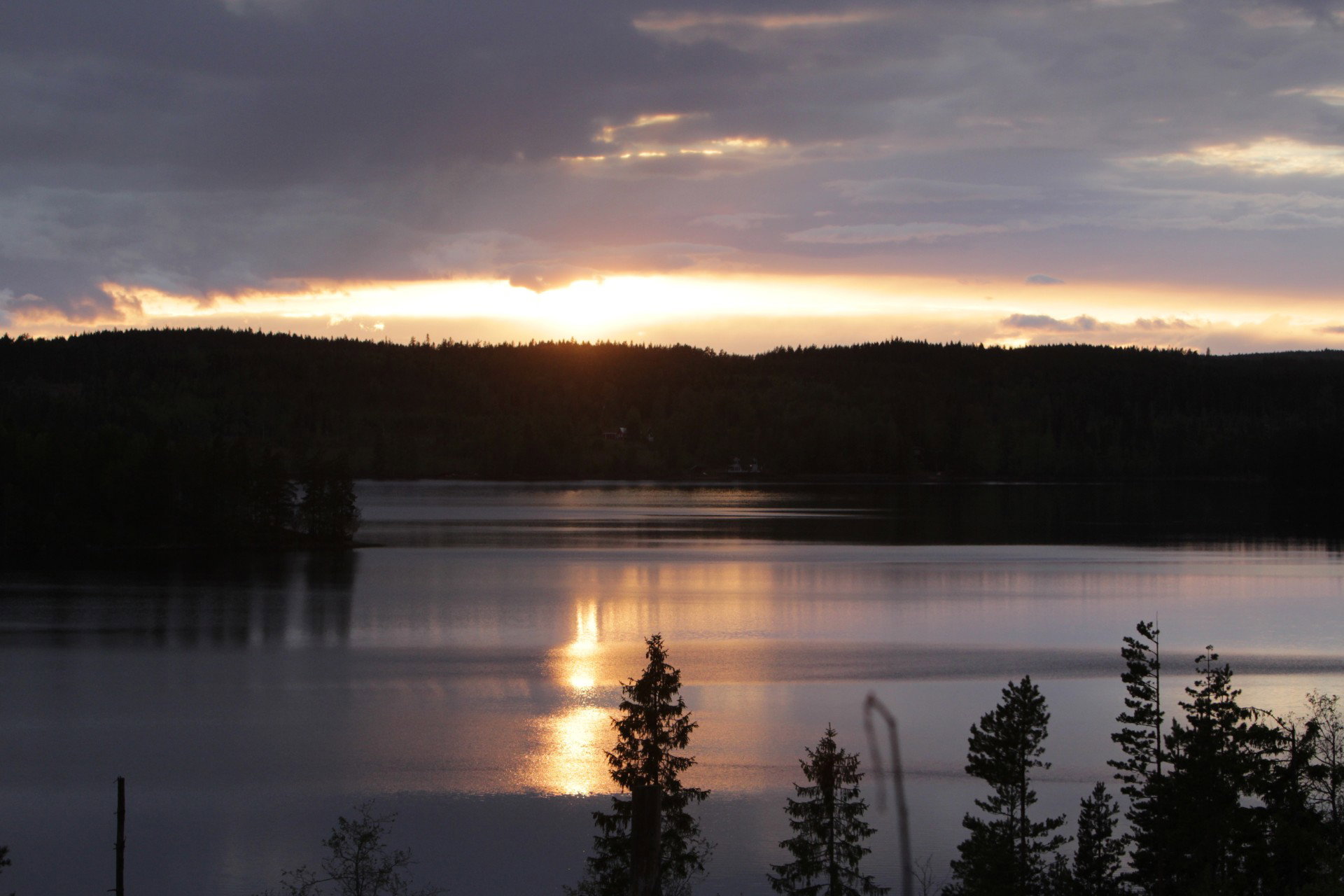- image: 12