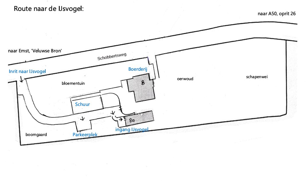- image: 12