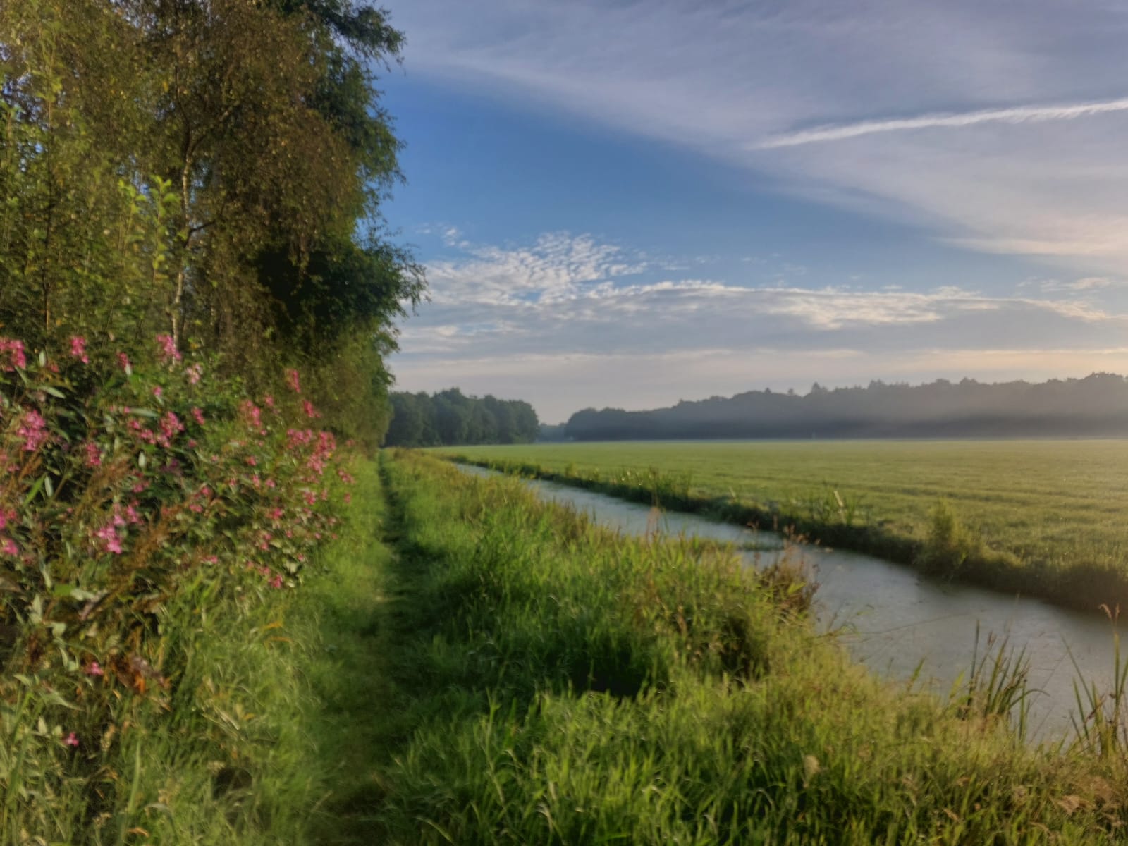 Casa nella natura a Haulerwijk