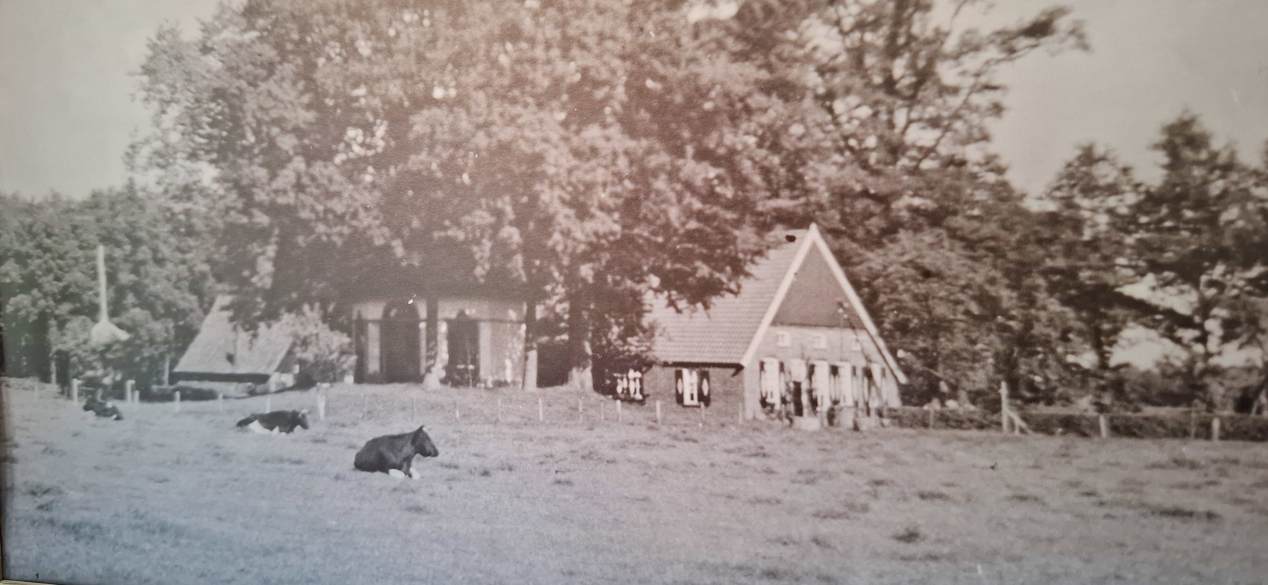 Natuurhuisje in Winterswijk Woold