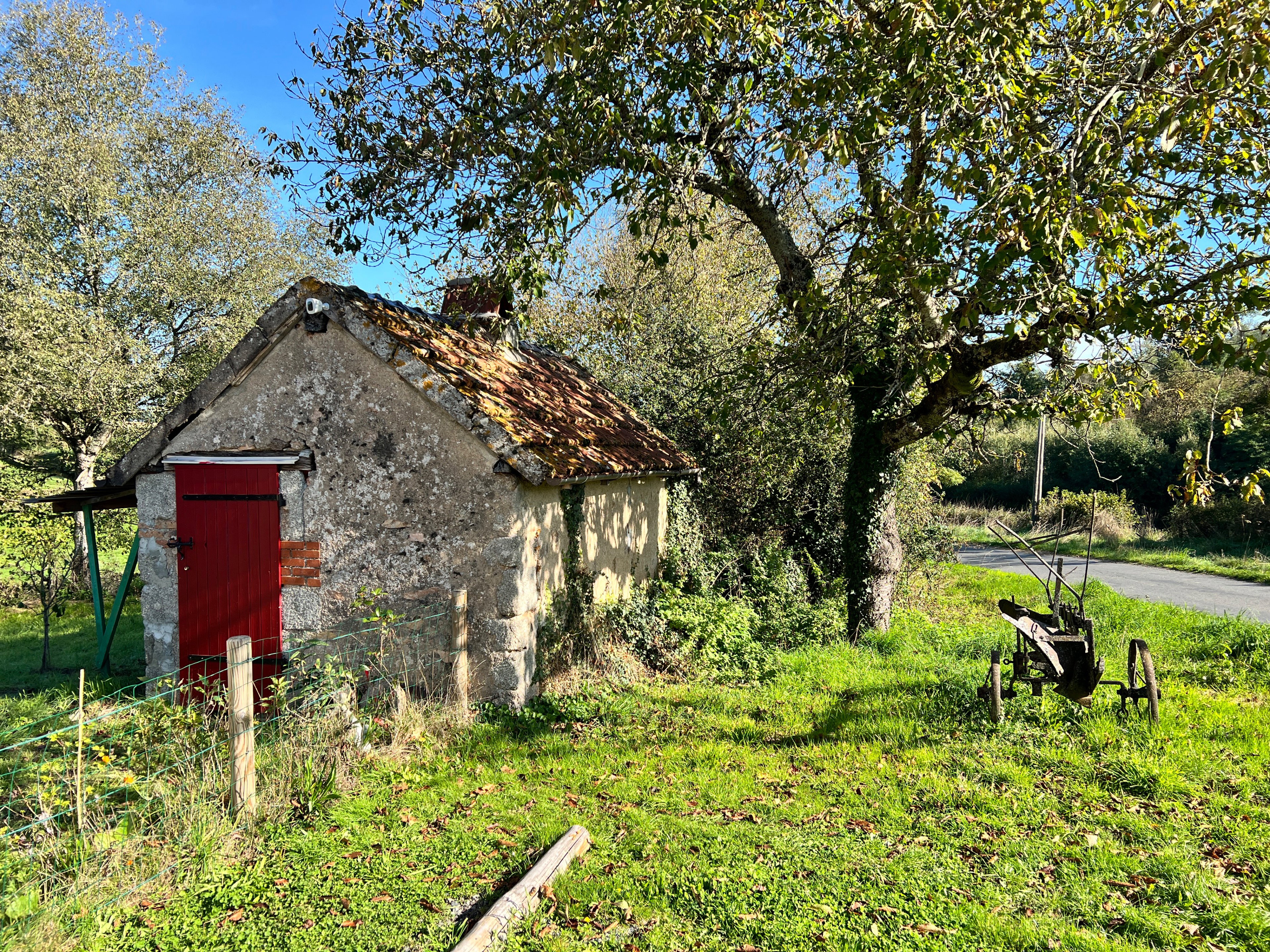 - image: 15