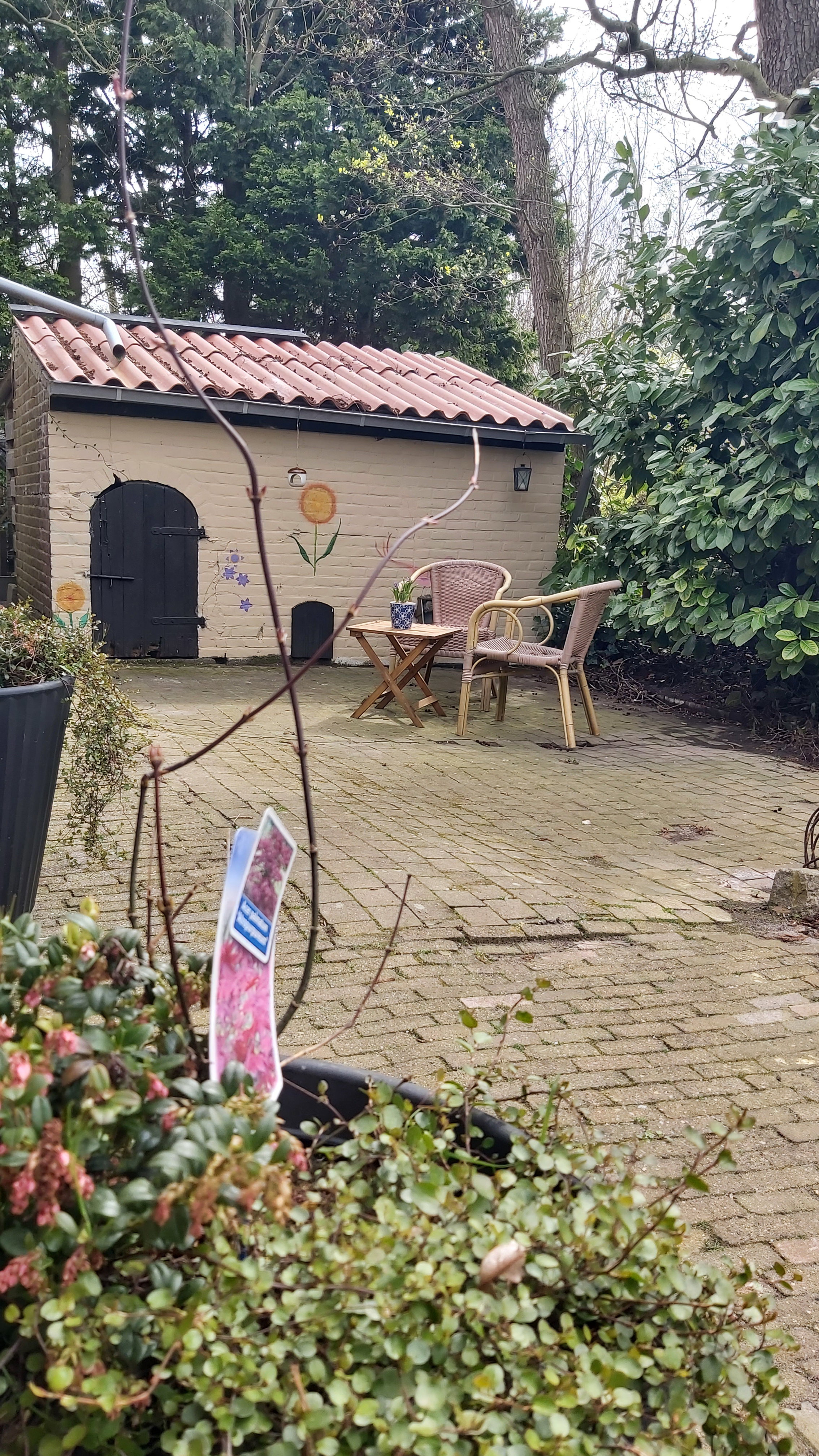 Natuurhuisje in Ooltgensplaat