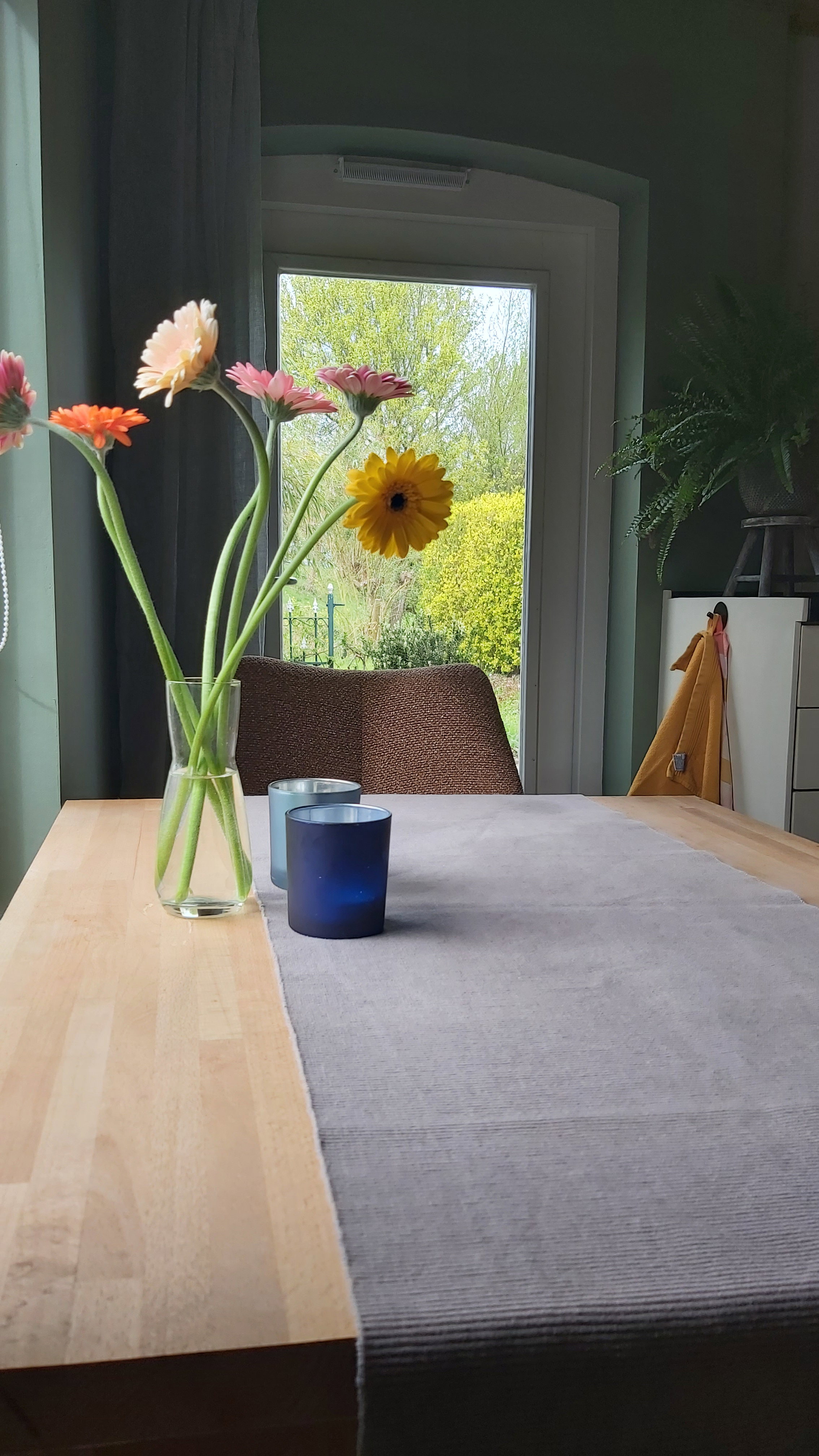 Natuurhuisje in Ooltgensplaat