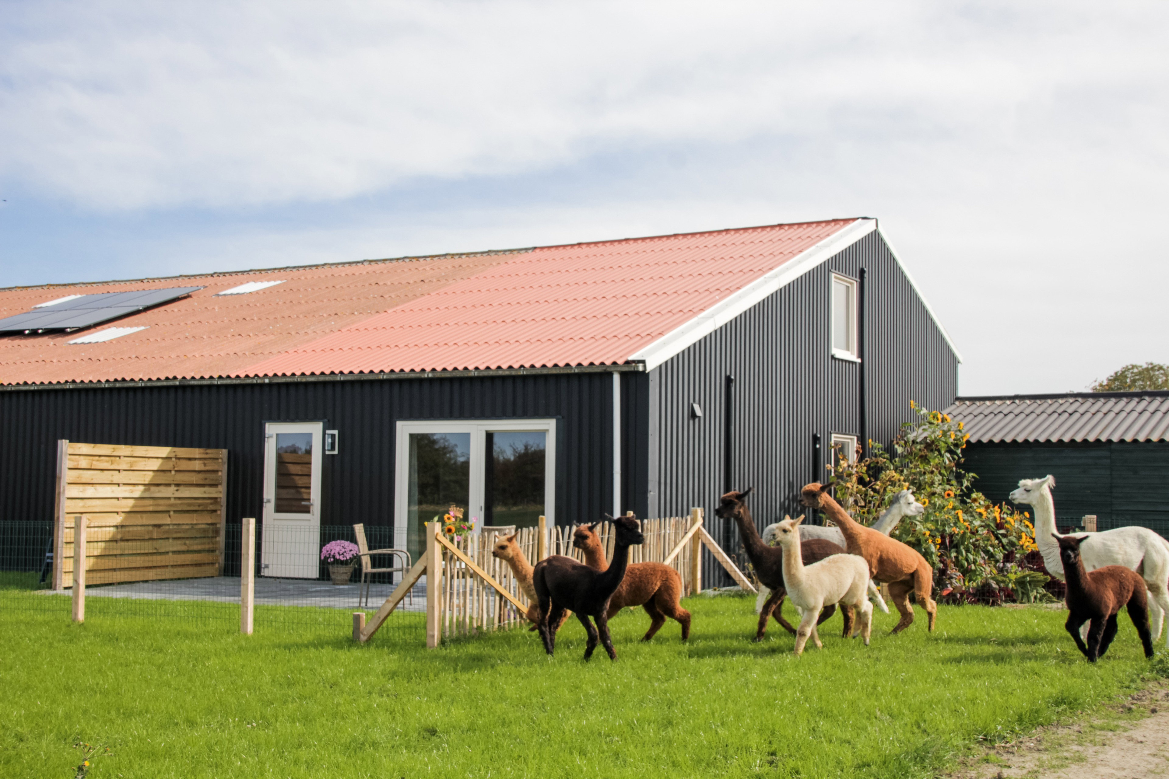 Natuurhuisje in Ritthem