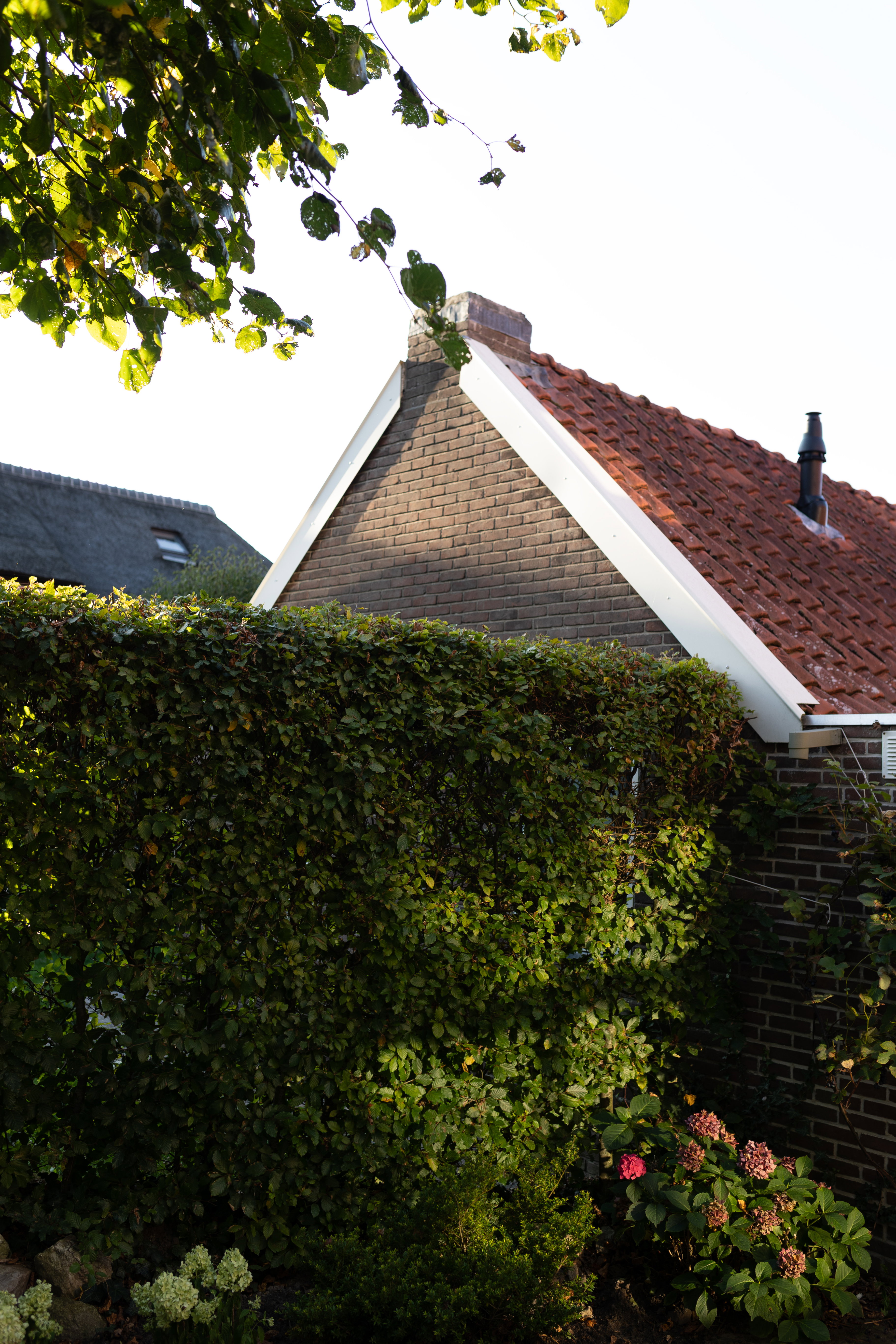 - image: 48