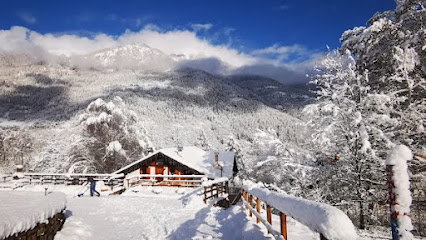 Casa nella natura a Dimaro