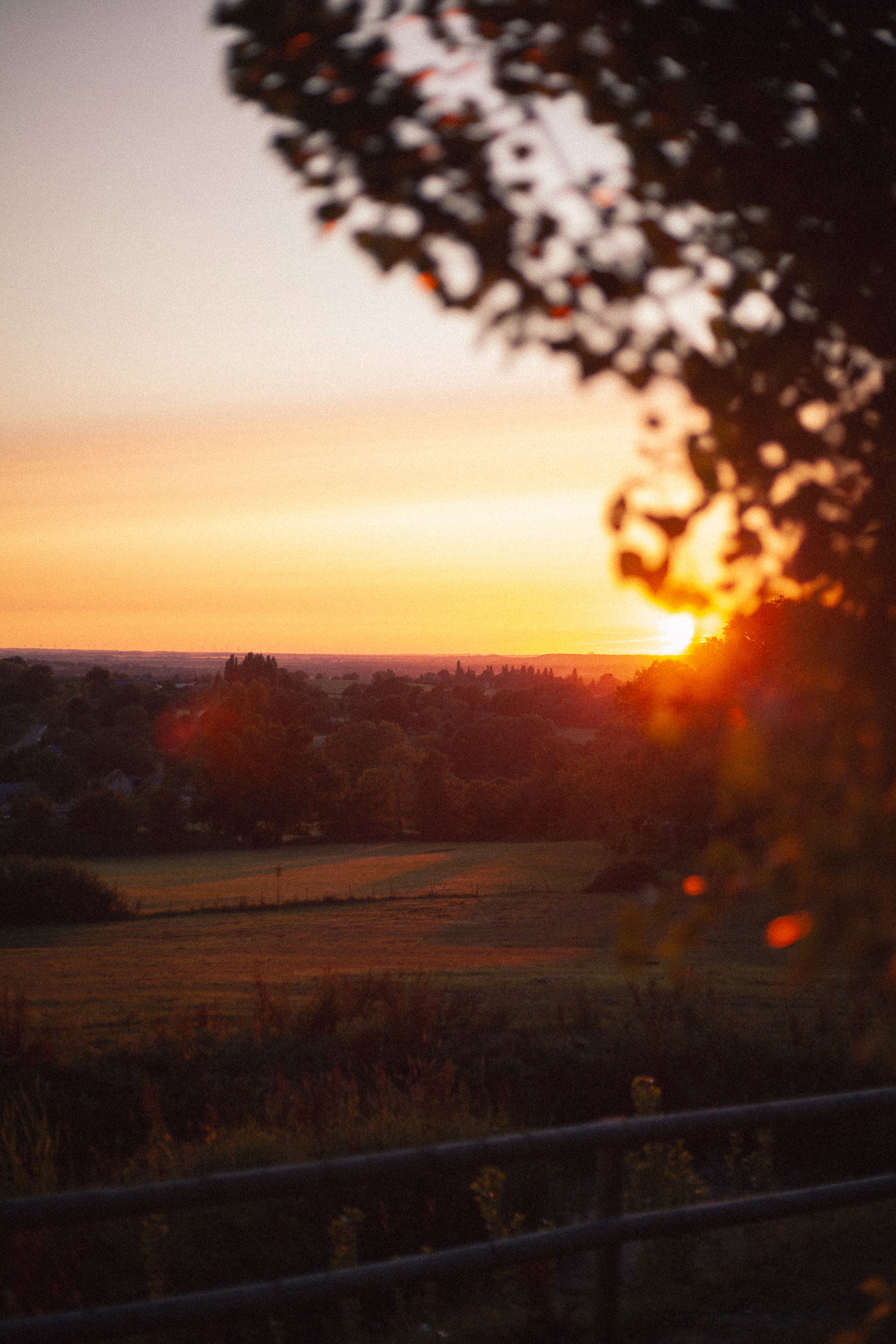 - image: 27