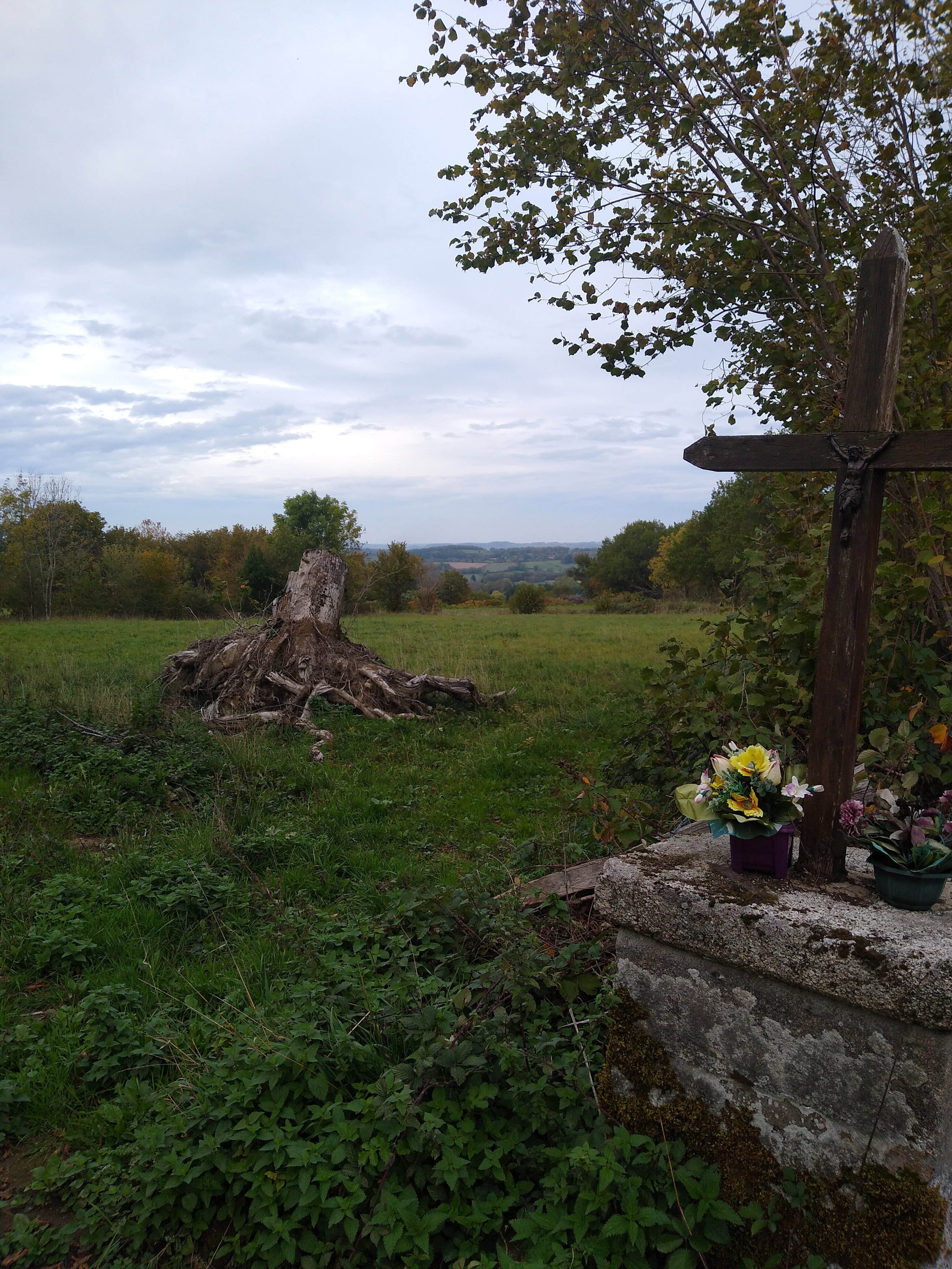 - image: 17