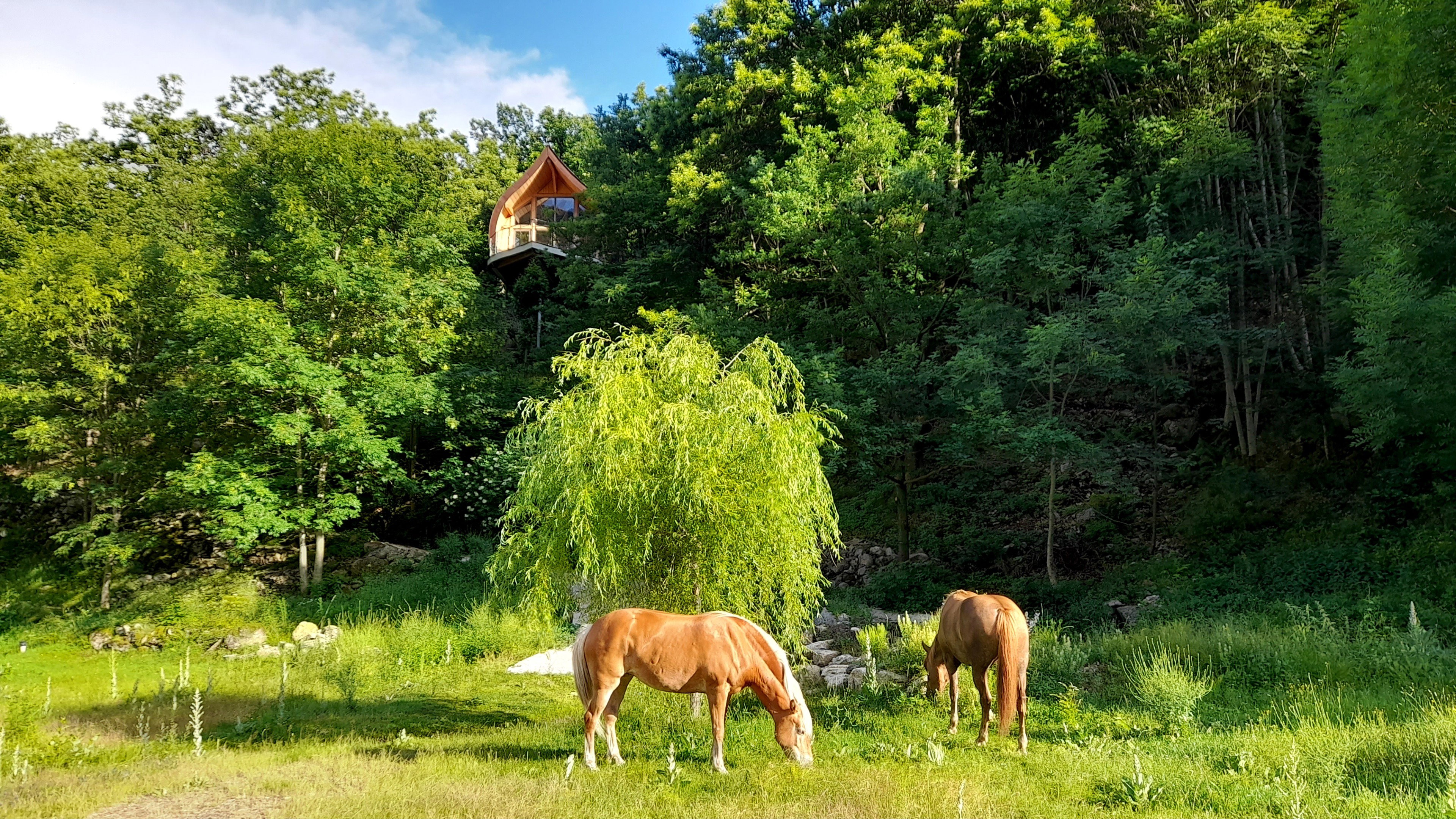 Natuurhuisje in La Souche