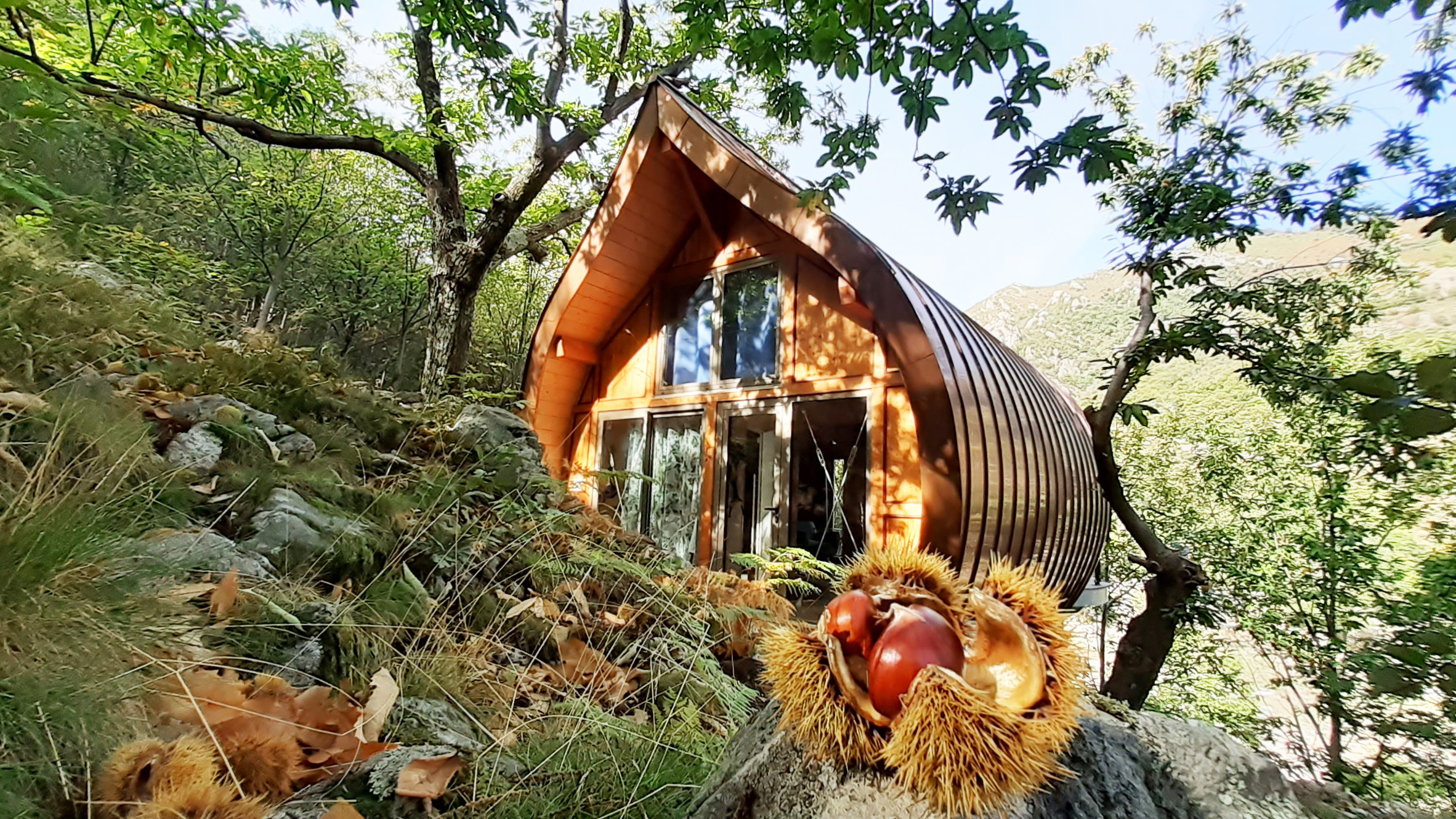 Natuurhuisje in La Souche