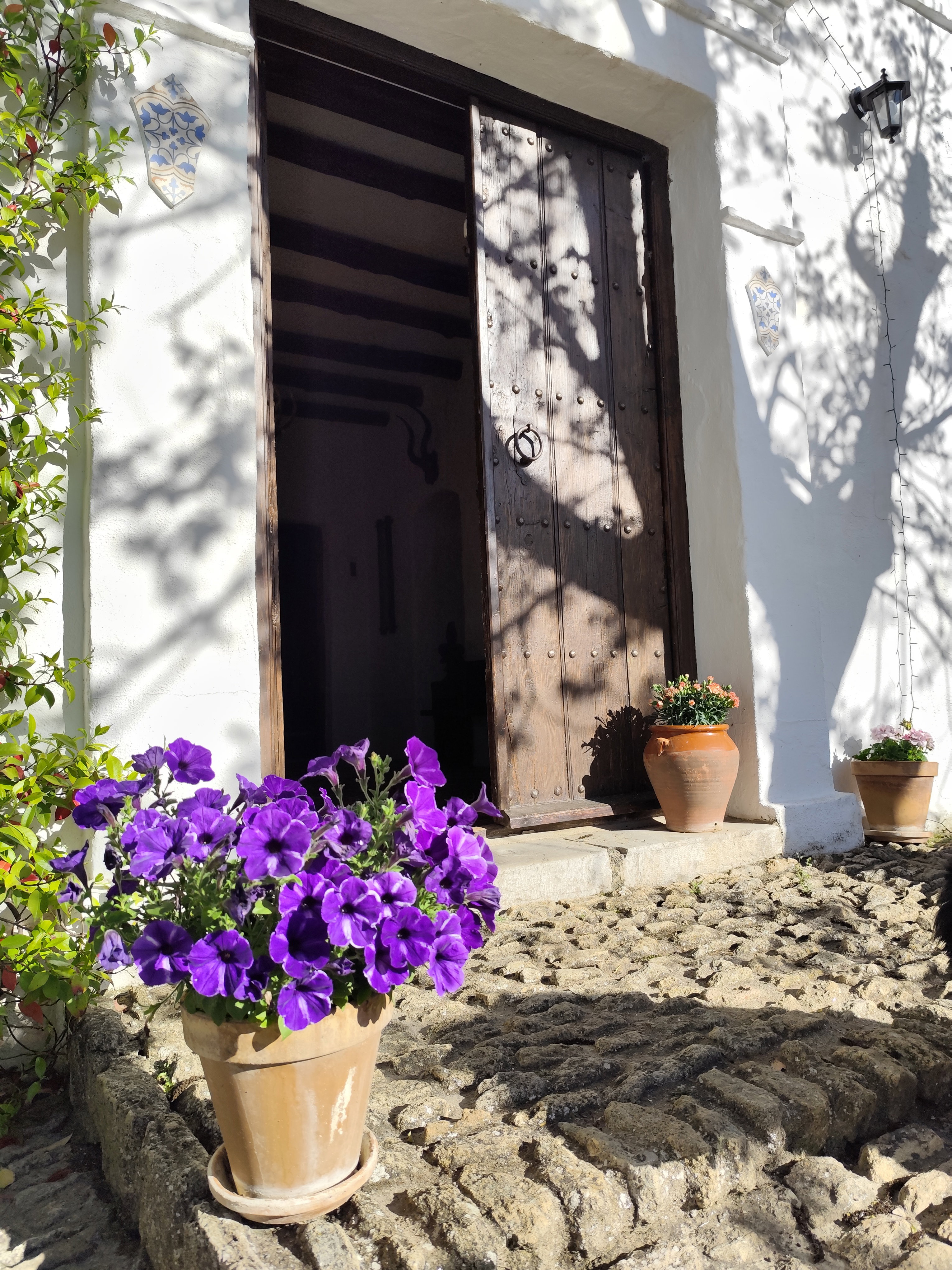 Maison nature à Cuevas del marques