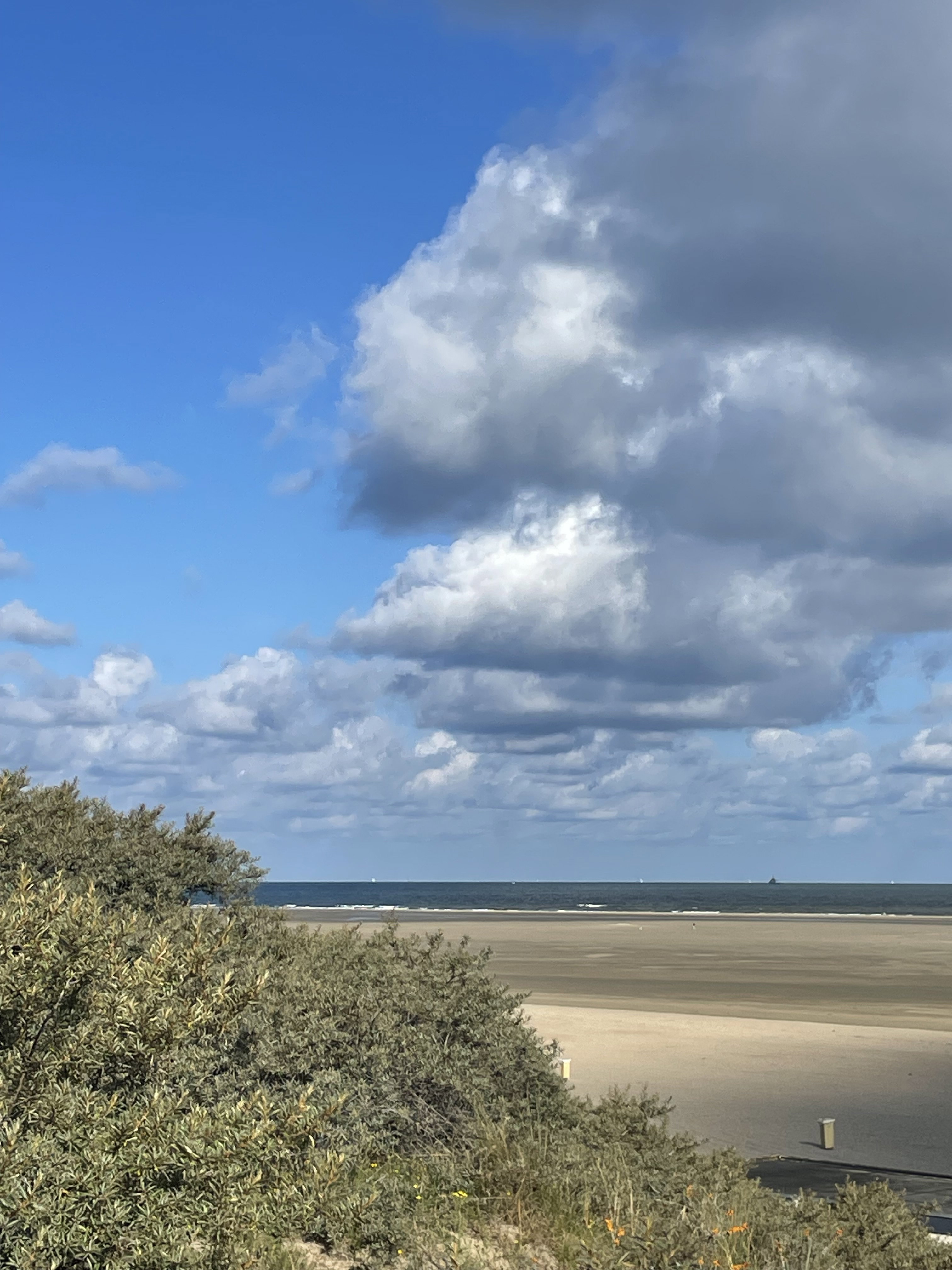 Natuurhuisje in Ouddorp