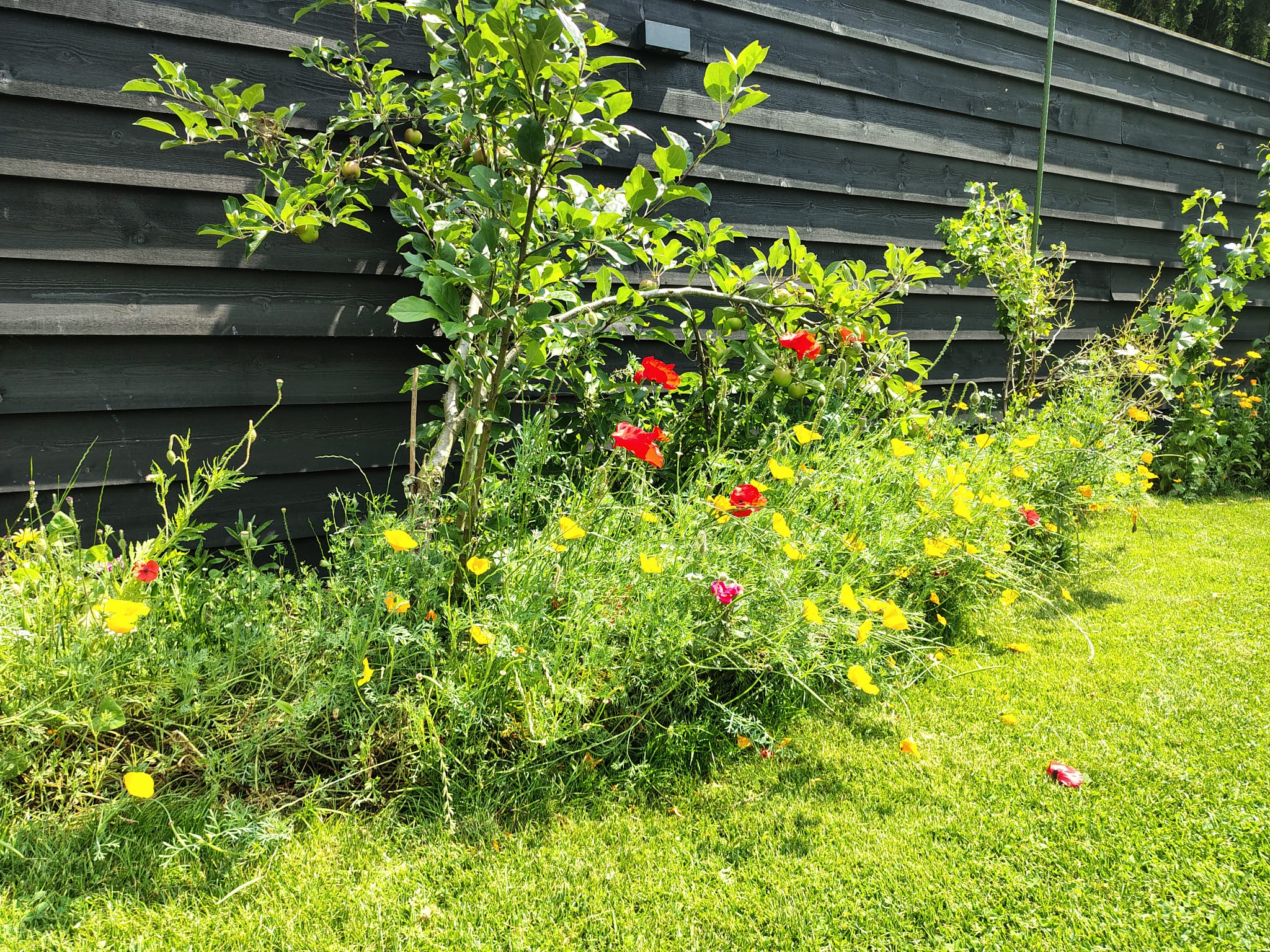 - image: 29