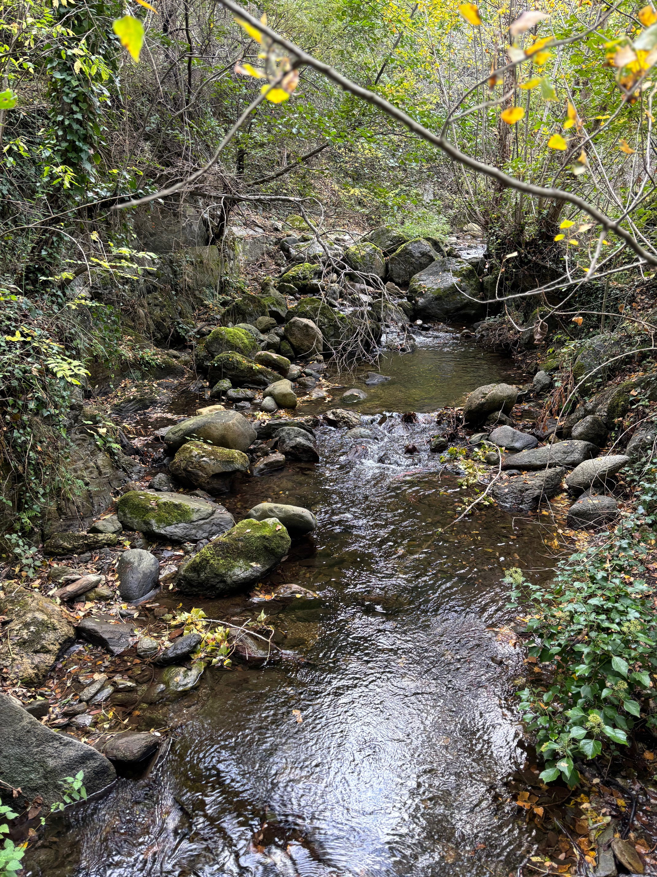 - image: 11
