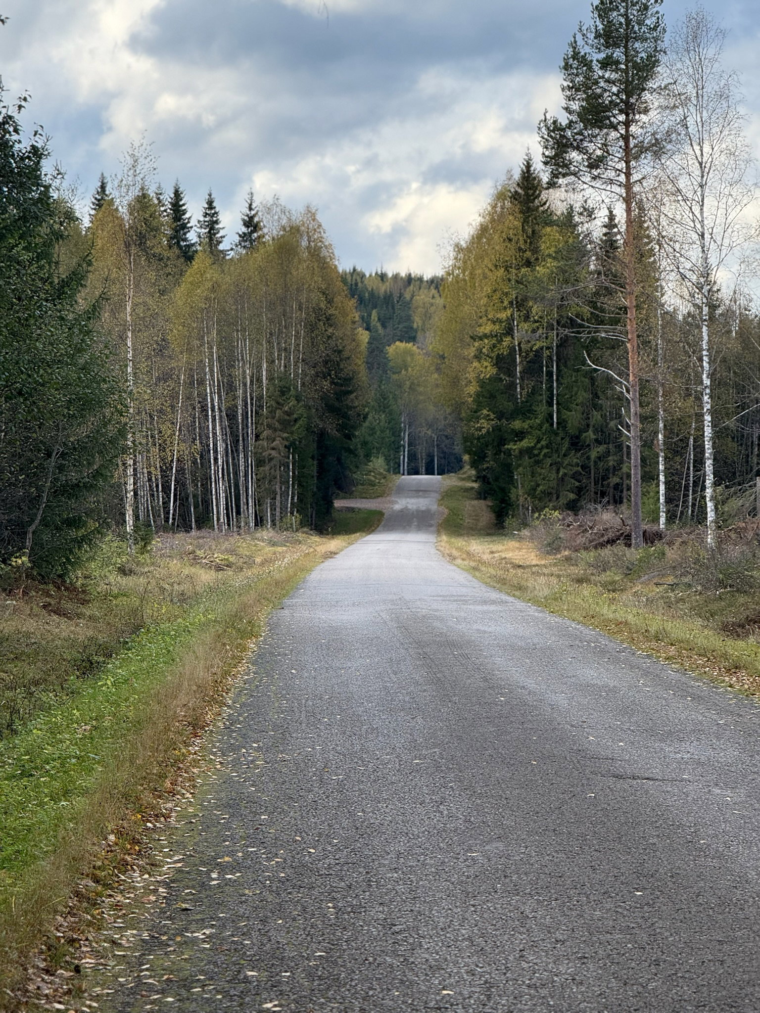 - image: 18