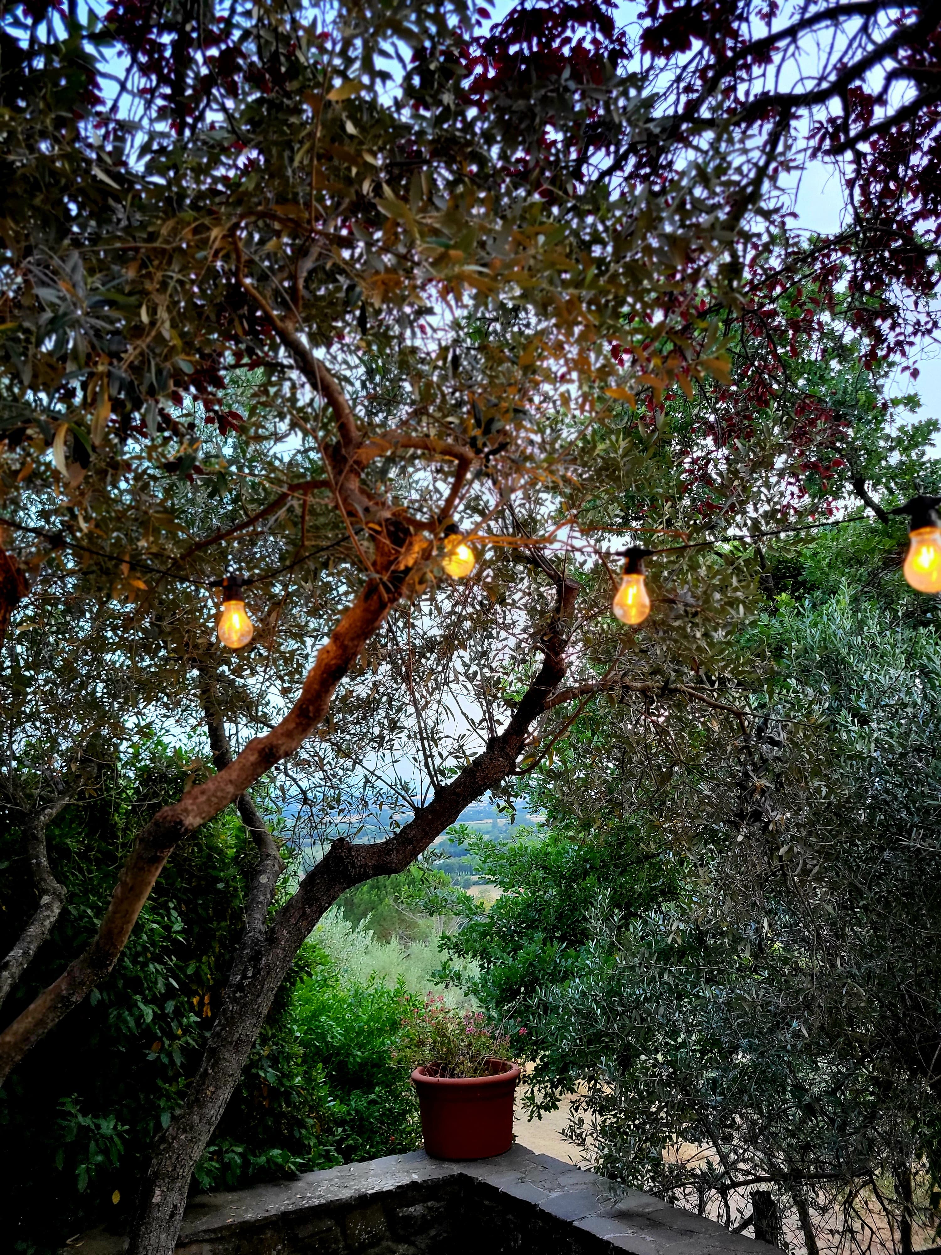 Casa nella natura a Cortona
