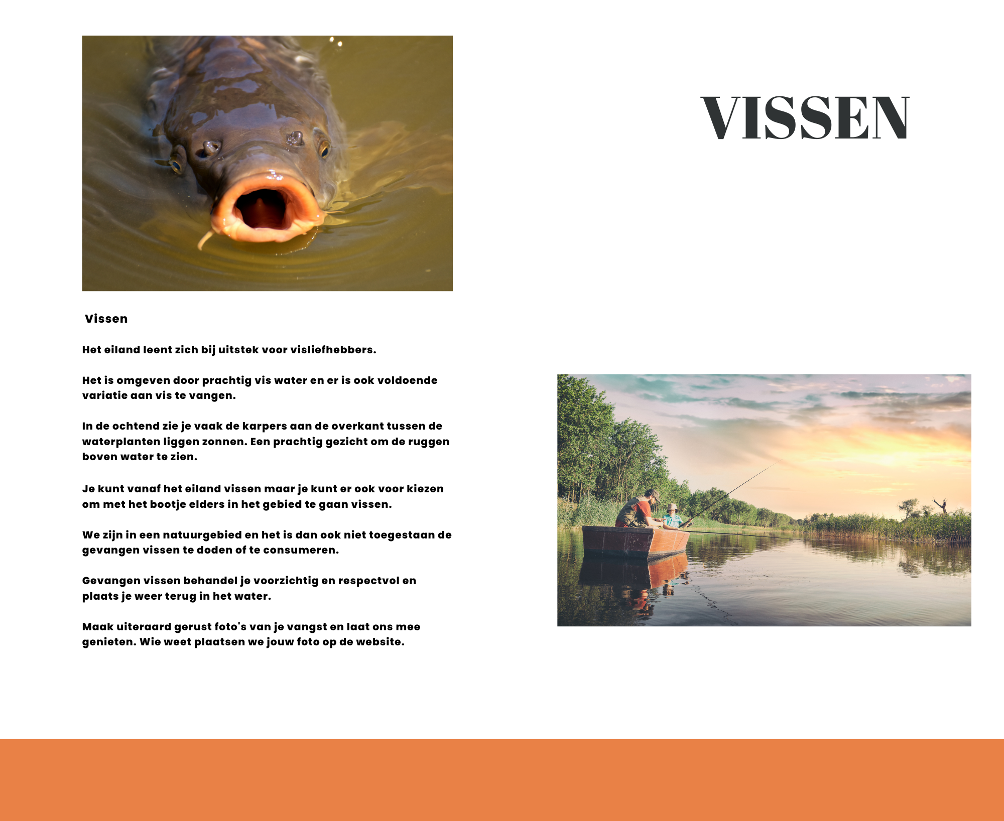 - image: 28