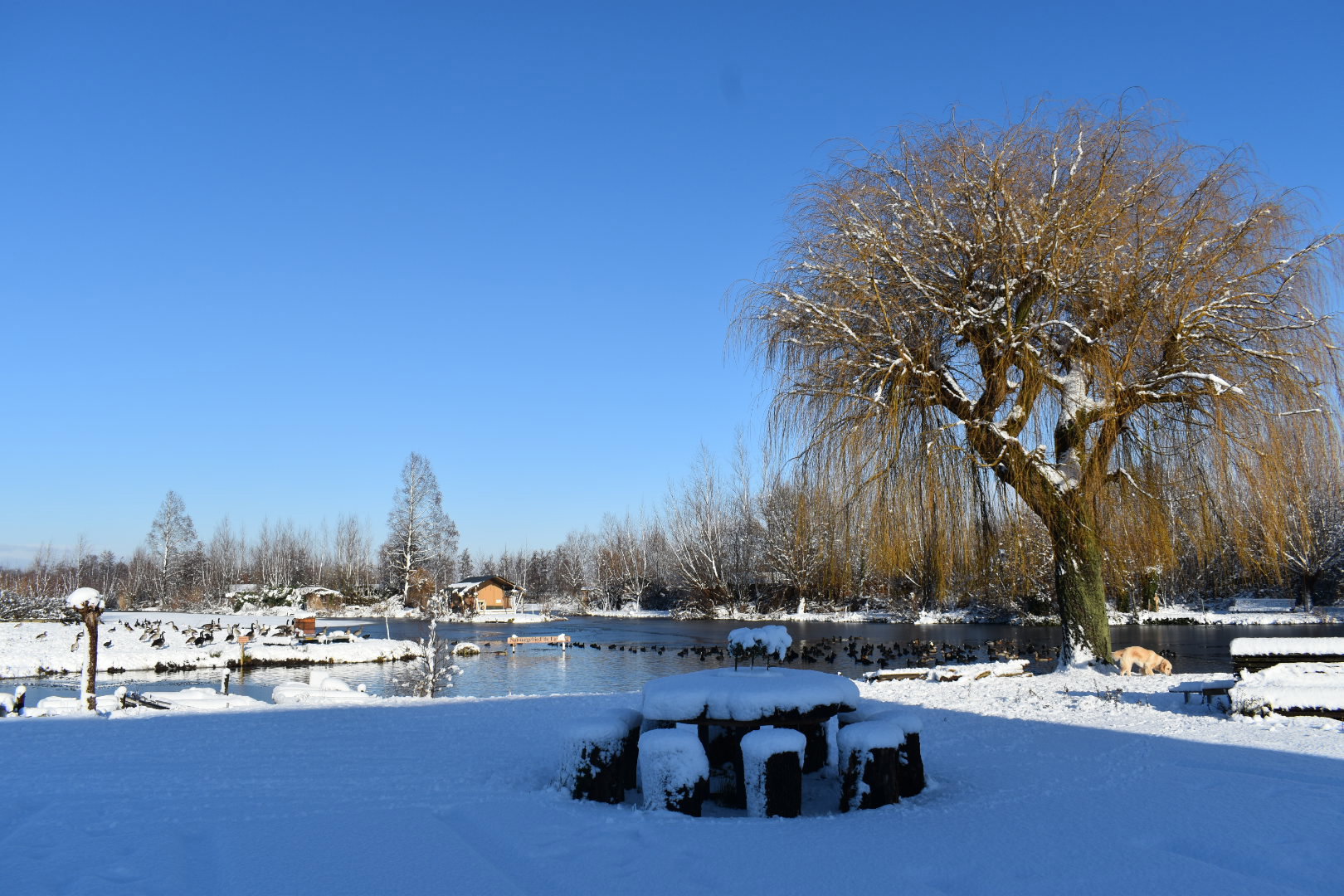 Natuurhuisje in Reeuwijk