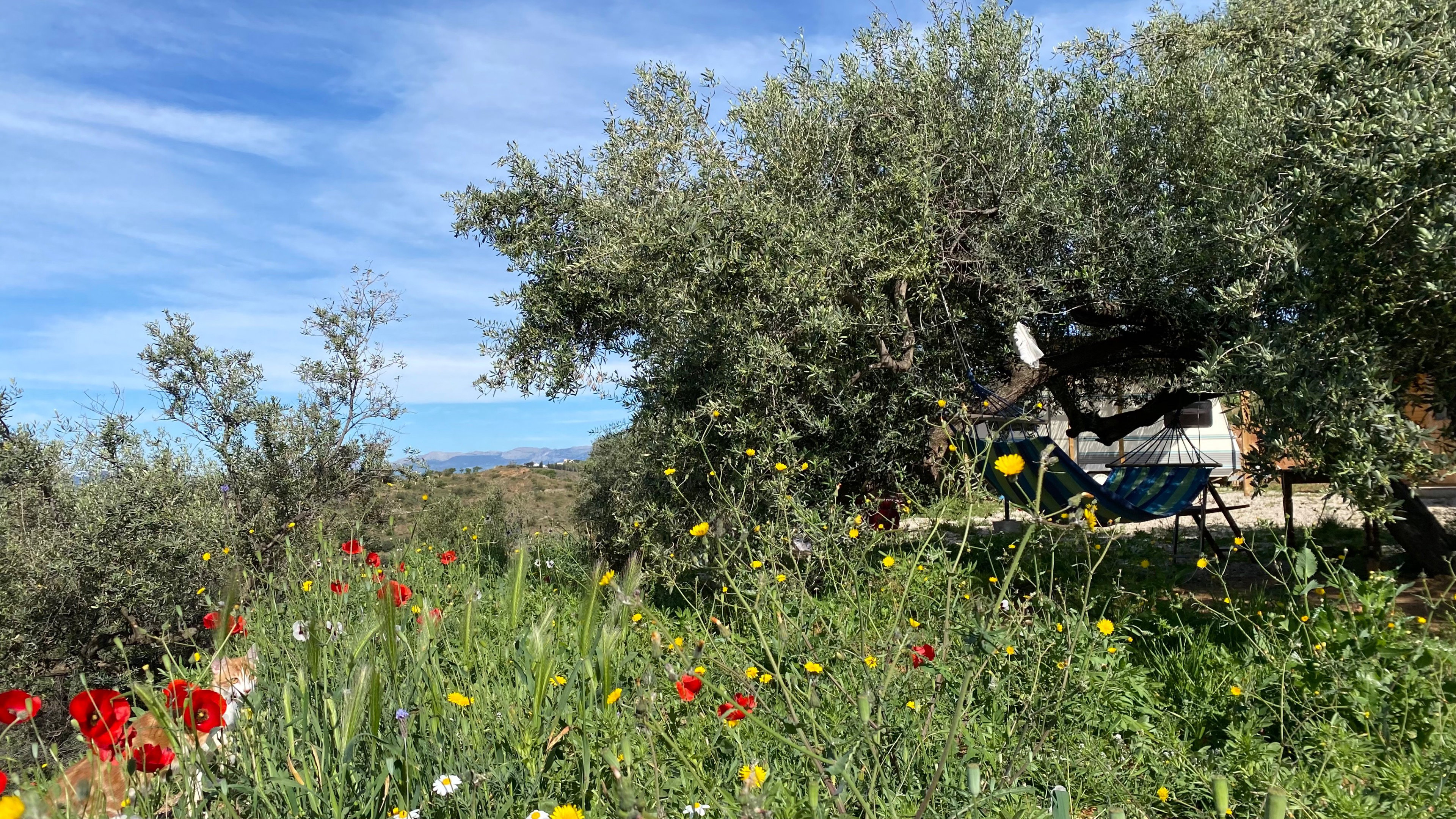 Maison nature à Canillas de Aceituna