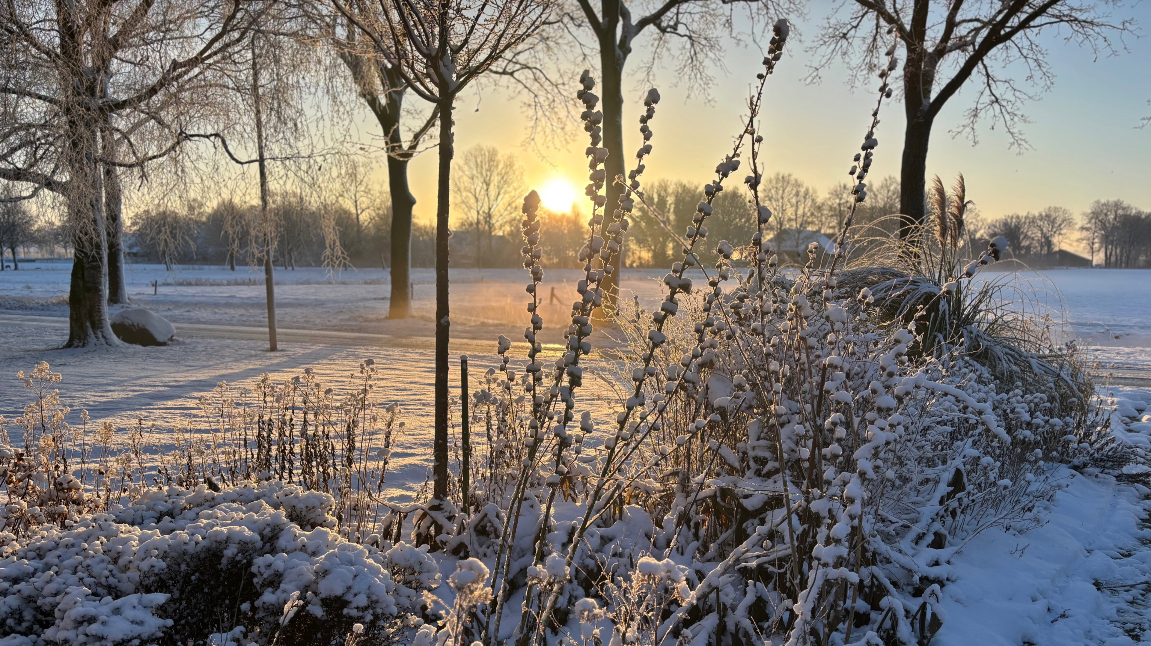 Natuurhuisje in Ruinerwold