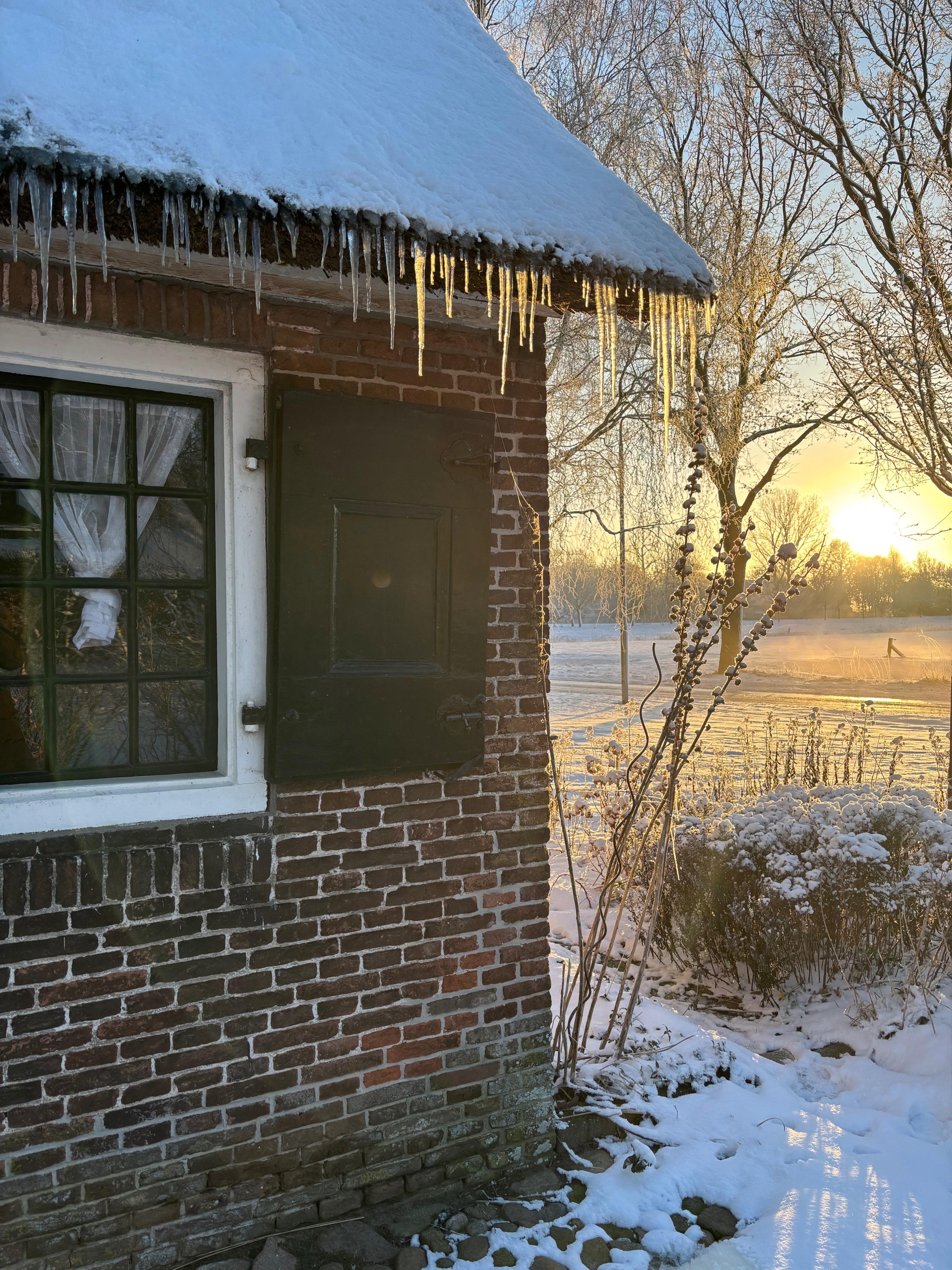 Natuurhuisje in Ruinerwold