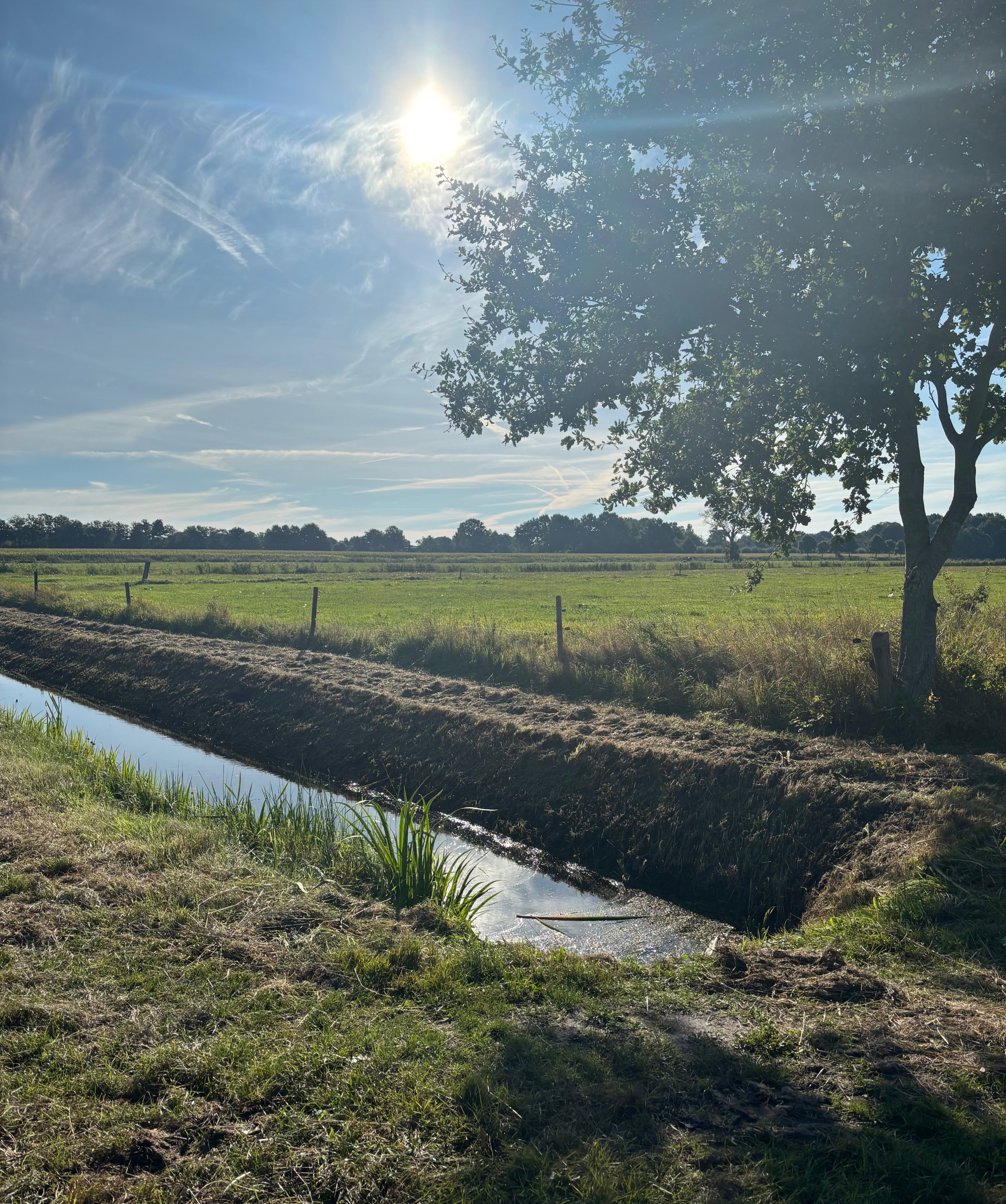 - image: 16