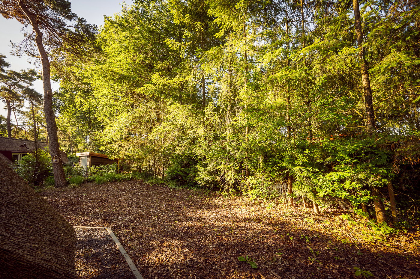 Nature house in Putten